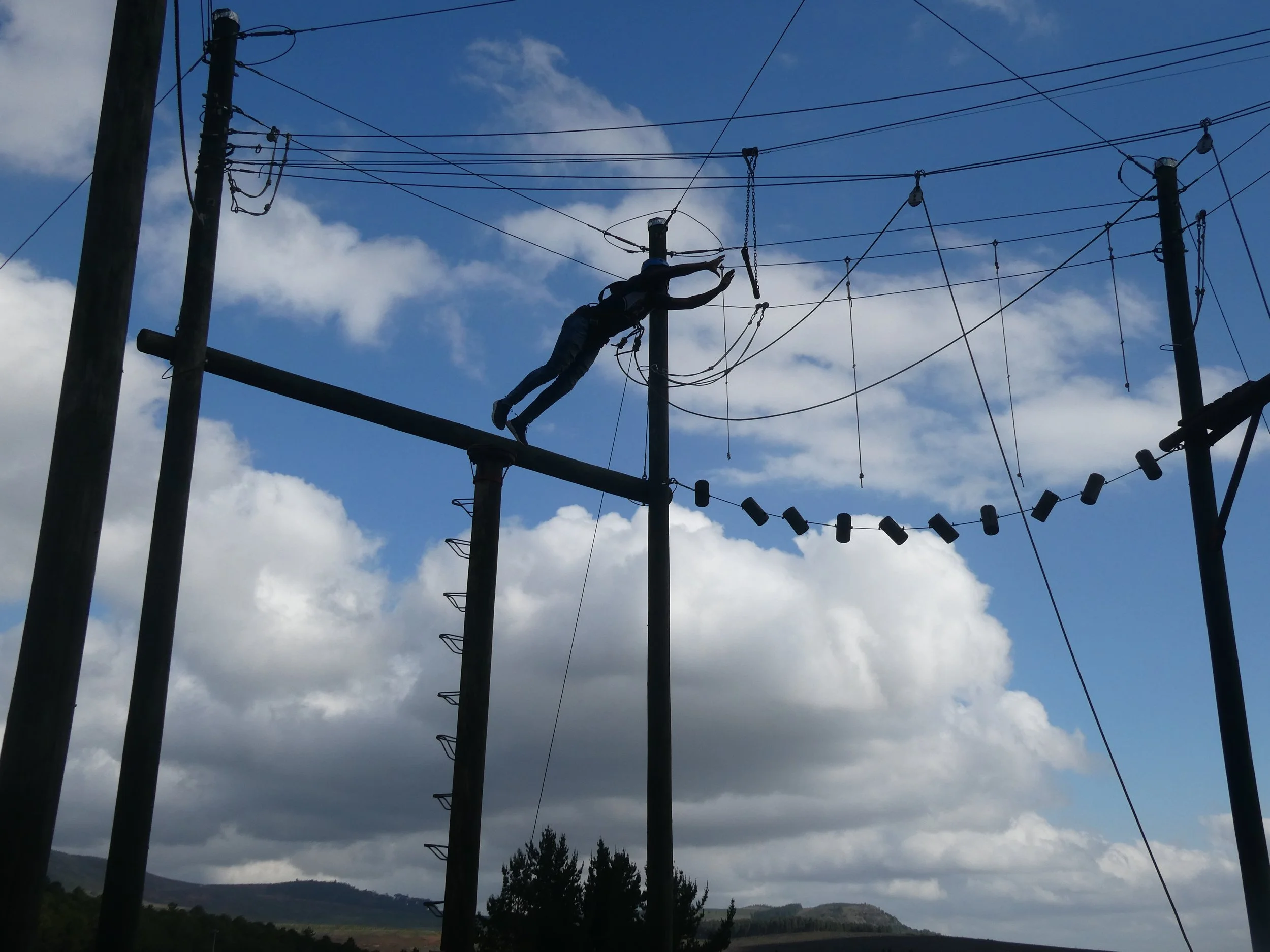 Awarenet ends the year on a high note