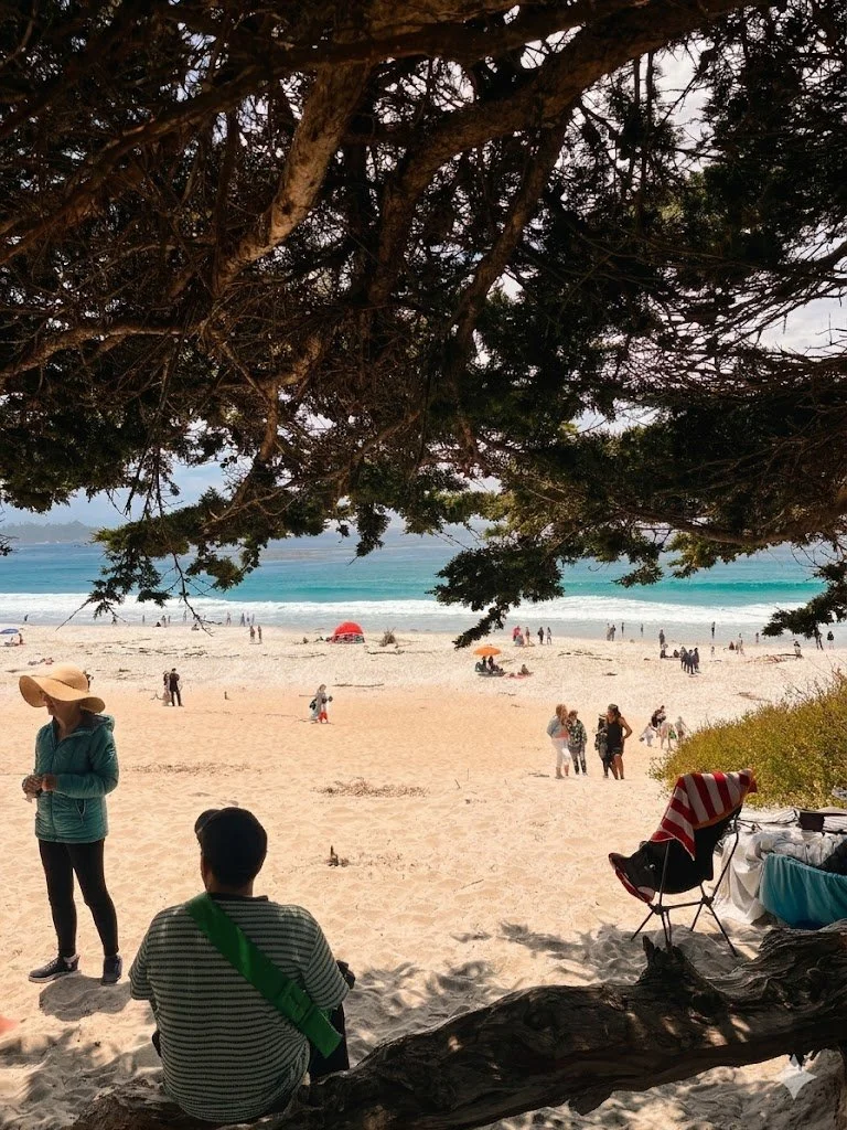 People at a sandy beach with turquoise water, umbrellas, and some people walking or sitting. A woman in a wide-brimmed hat and a man in a striped shirt are sitting under a large tree.