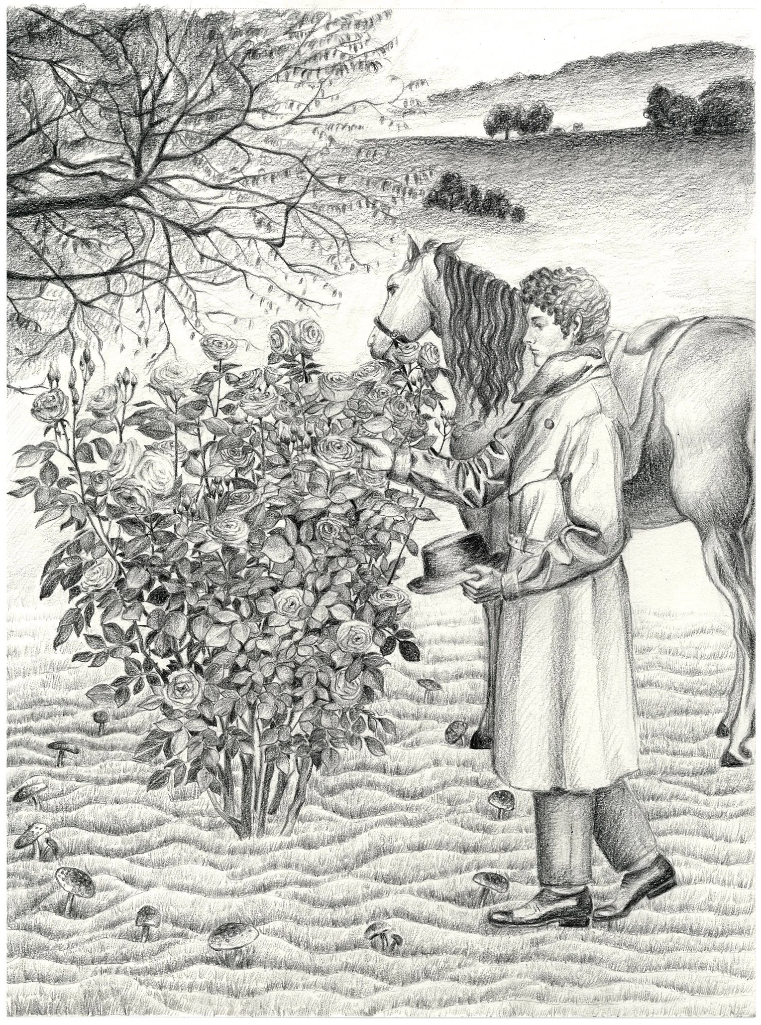 Illustration print