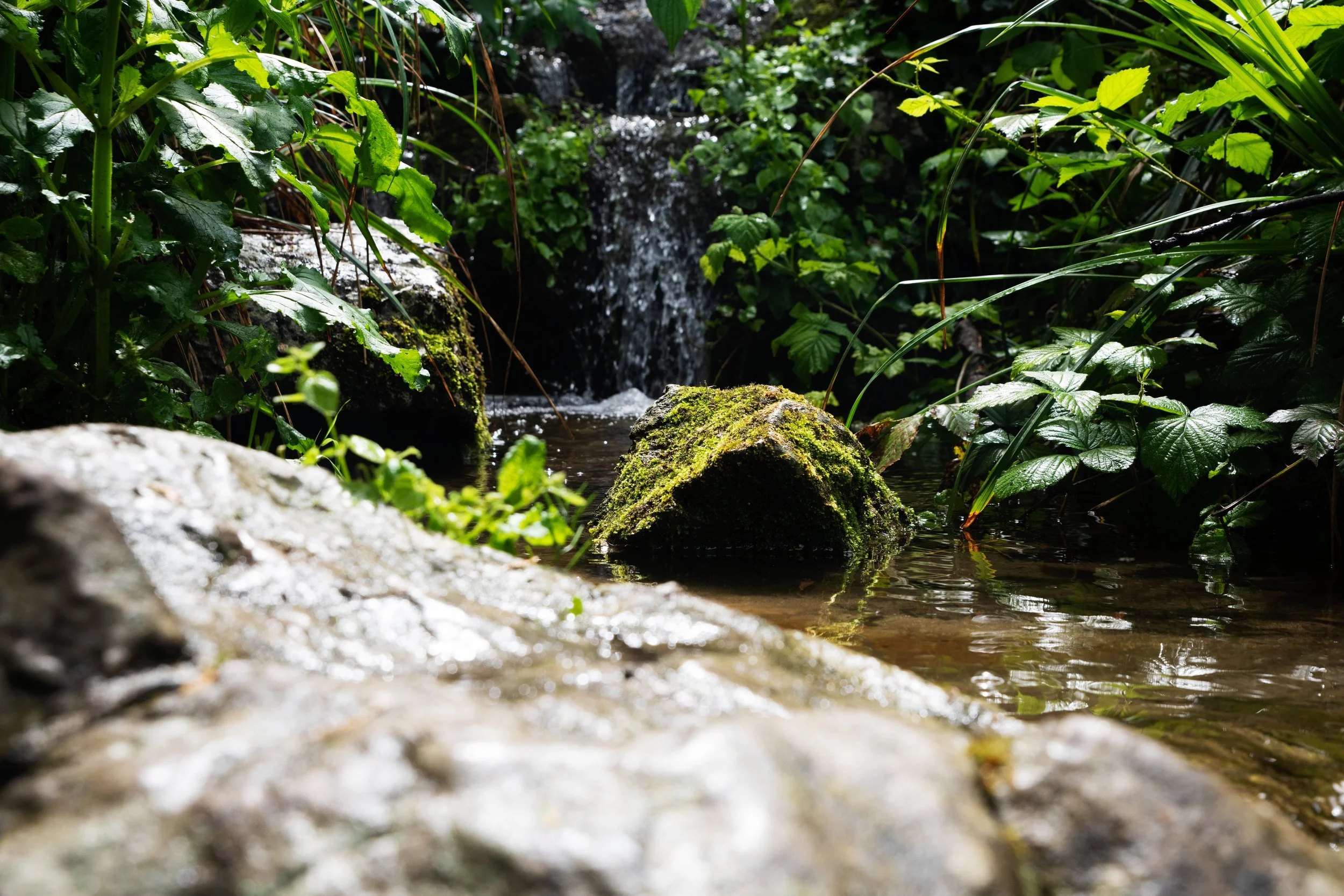 DSC_5097.jpg