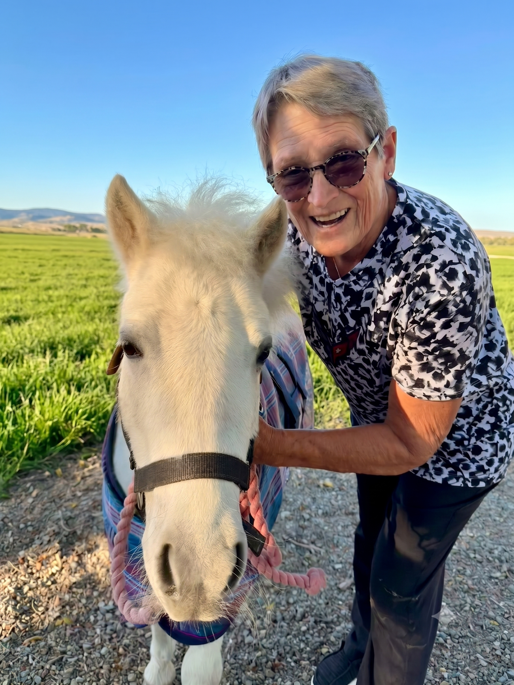 A woman laughing with sunglasses, petting a white miniature horse on a farm with green fields and a blue sky.