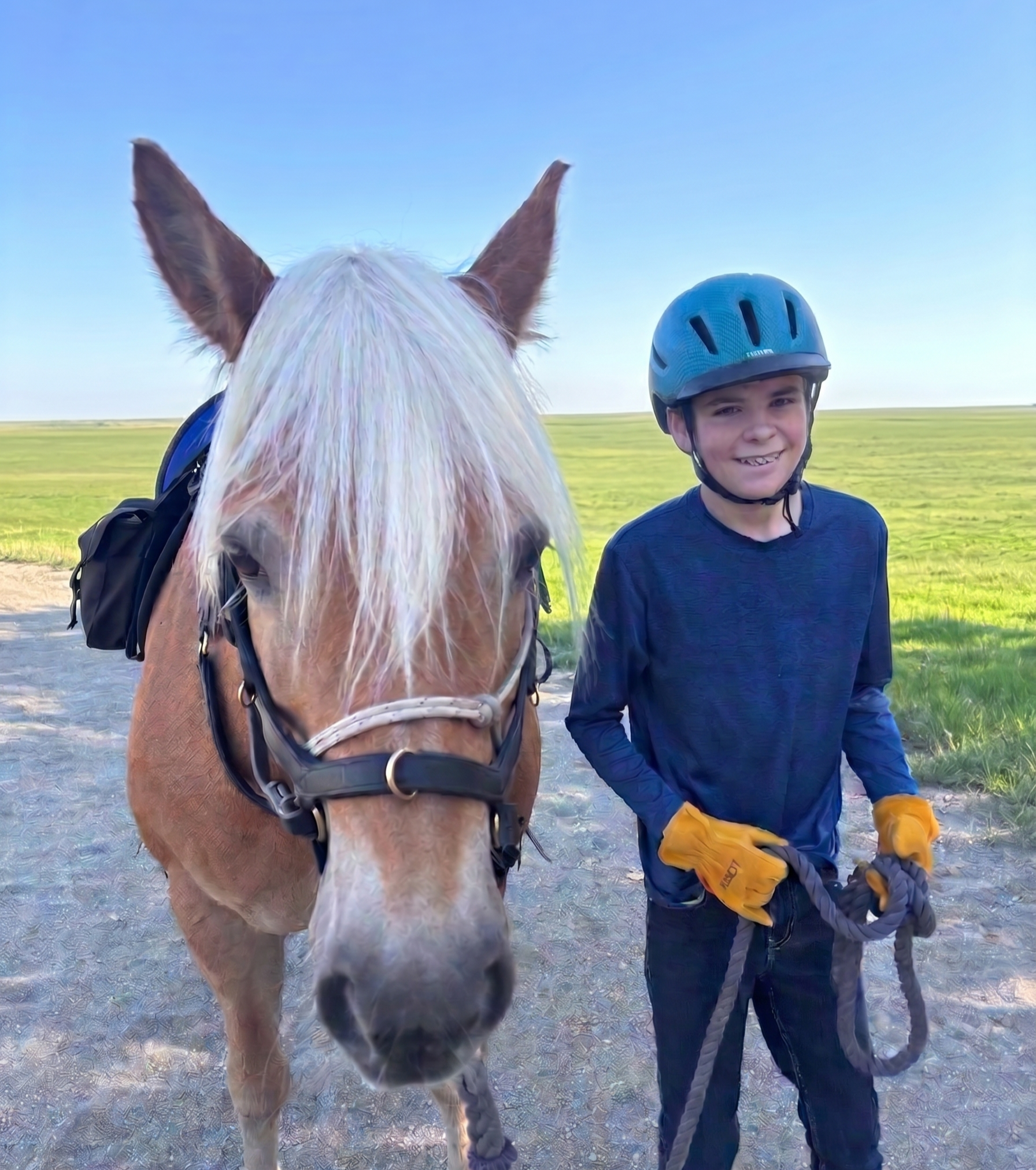 A young boy wearing a helmet and yellow gloves standing outdoors with a white horse that has a halter, on a bright, clear day.