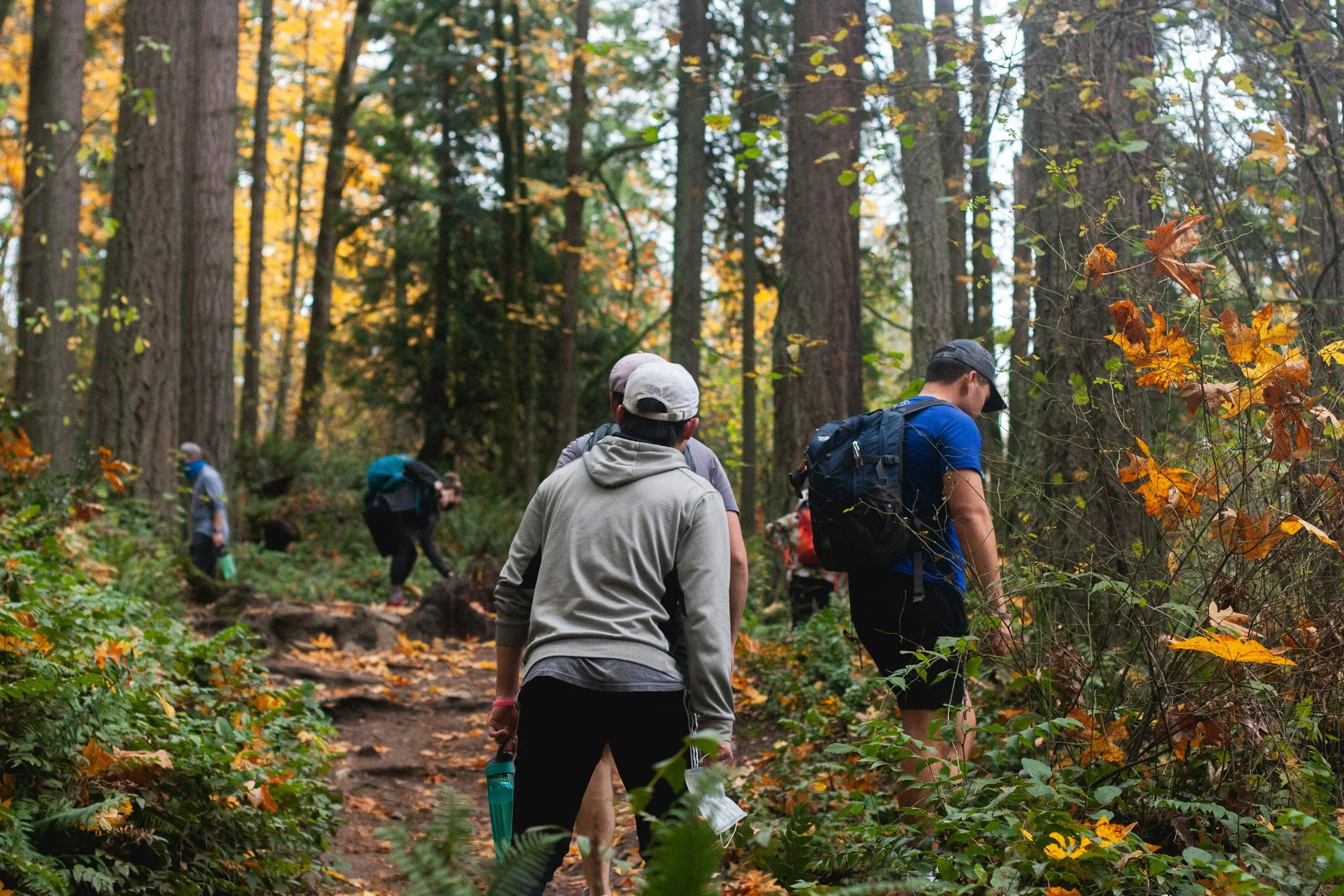 Grupp von Menschen beim Wandern im Wald, umgeben von Bäumen, im Herbst mit fallenden Blättern.