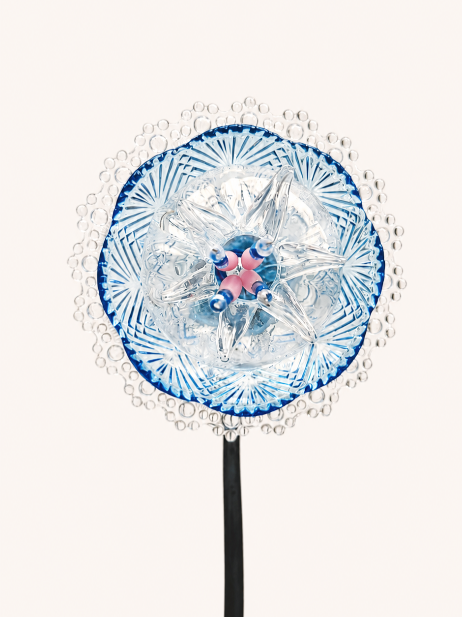 BluePoppy-1.png