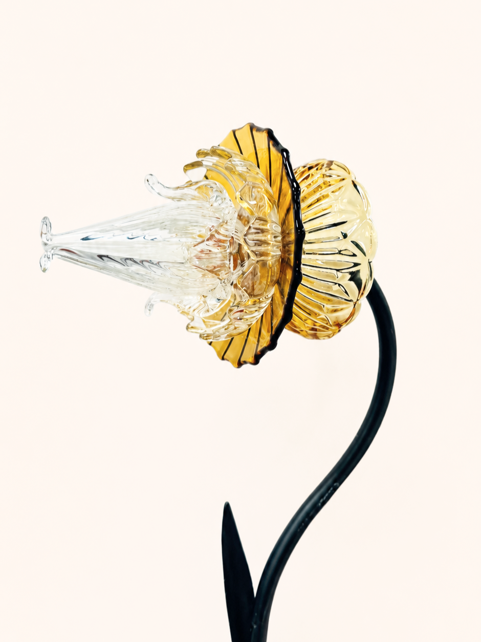 AmberMurano-1.png