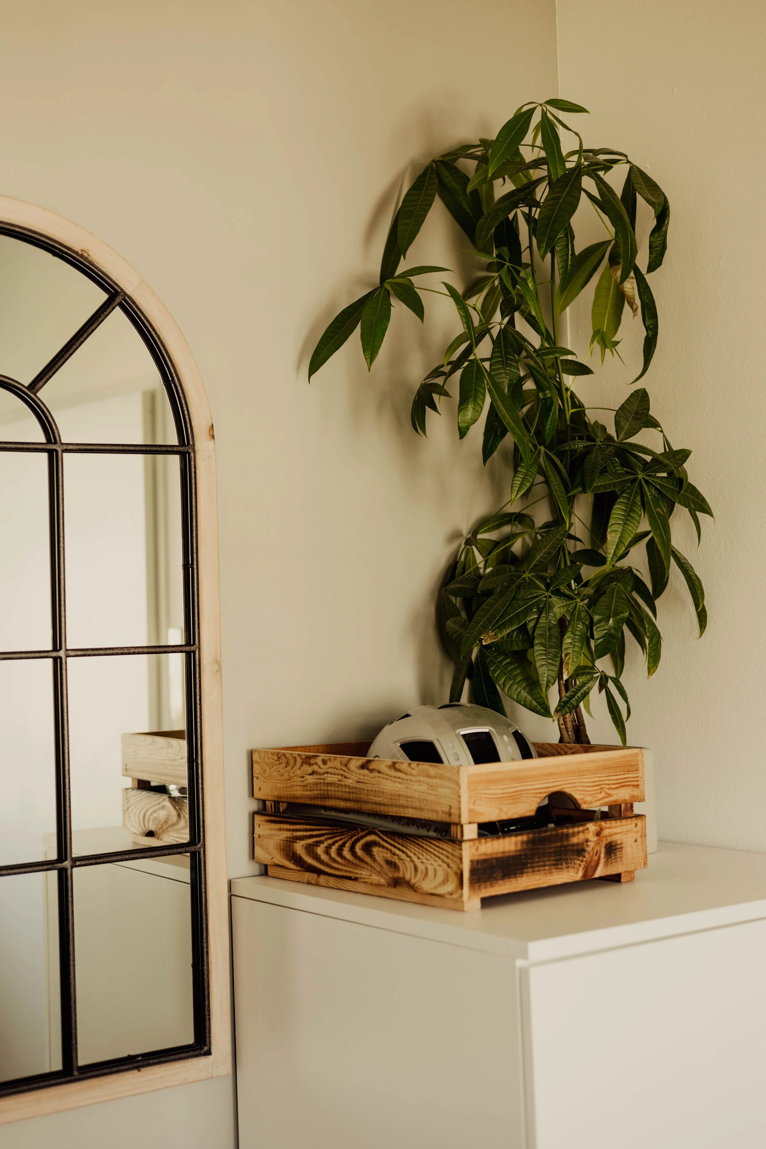 Ein Holzblumentopf mit einer Pflanze steht auf einem weißen Möbelstück. Daneben befindet sich ein Holzregal mit einem weißen elektronischen Gerät darauf. Im Hintergrund hängt ein Spiegel mit einem schwarzen Metallrahmen an der Wand.