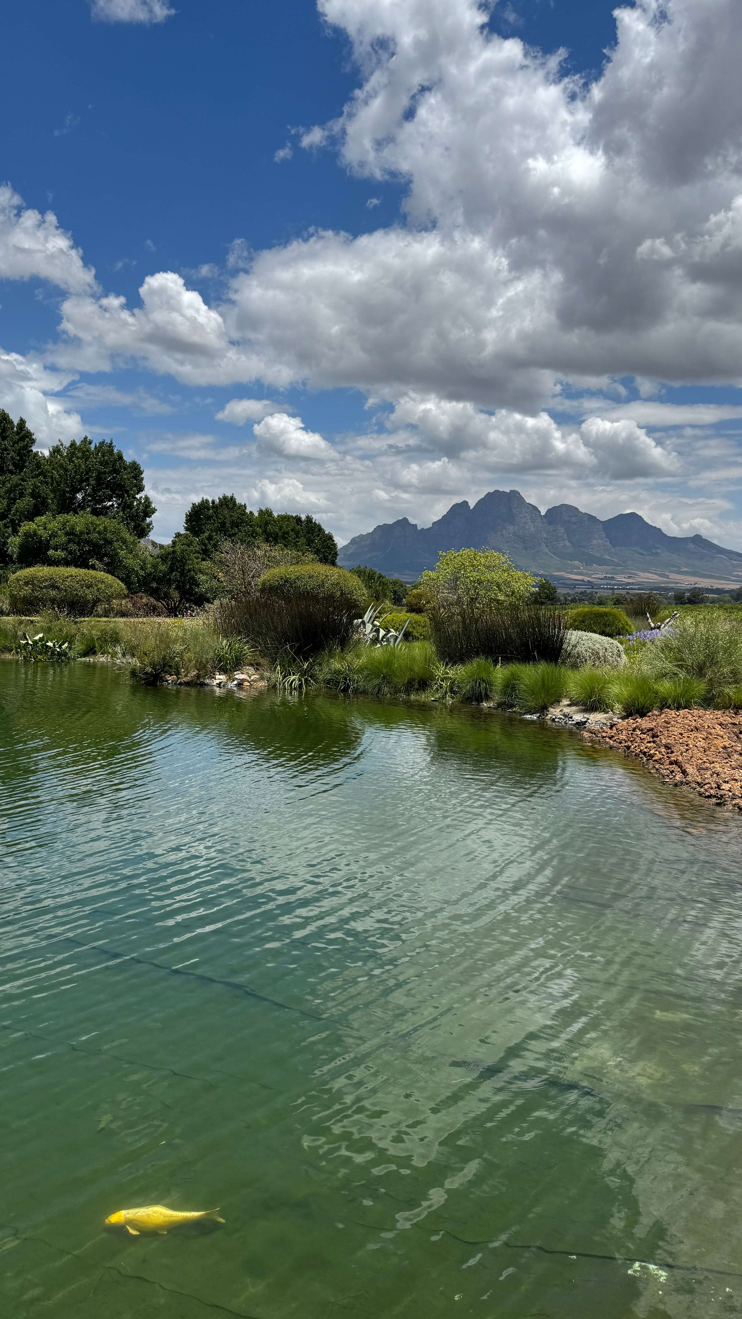Paserene Wine Farm