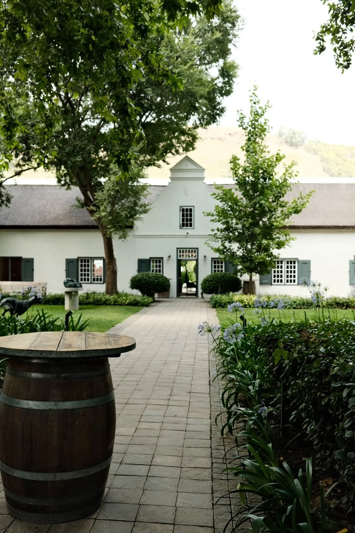 South Africa: The Best Wine Farms