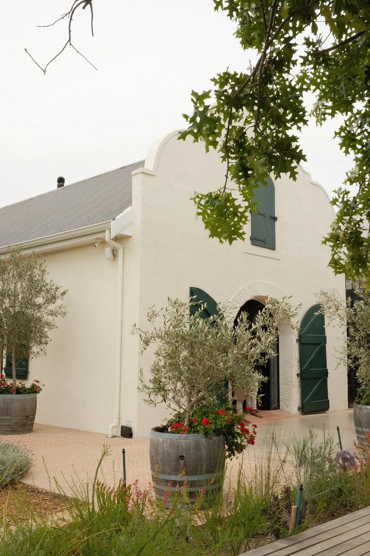 Alto Wine Estate