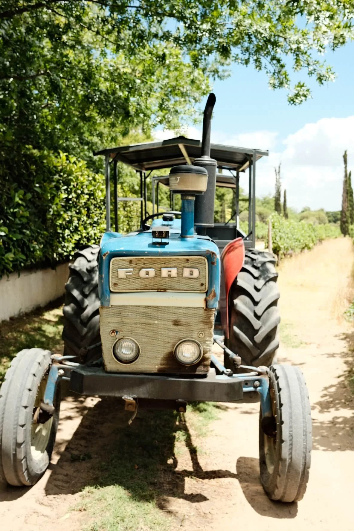Grande Provence Vineyard