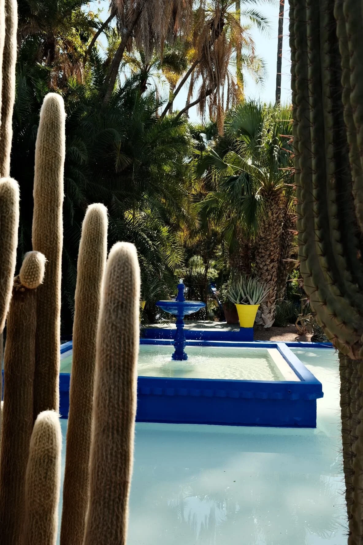 Jardin Majorelle