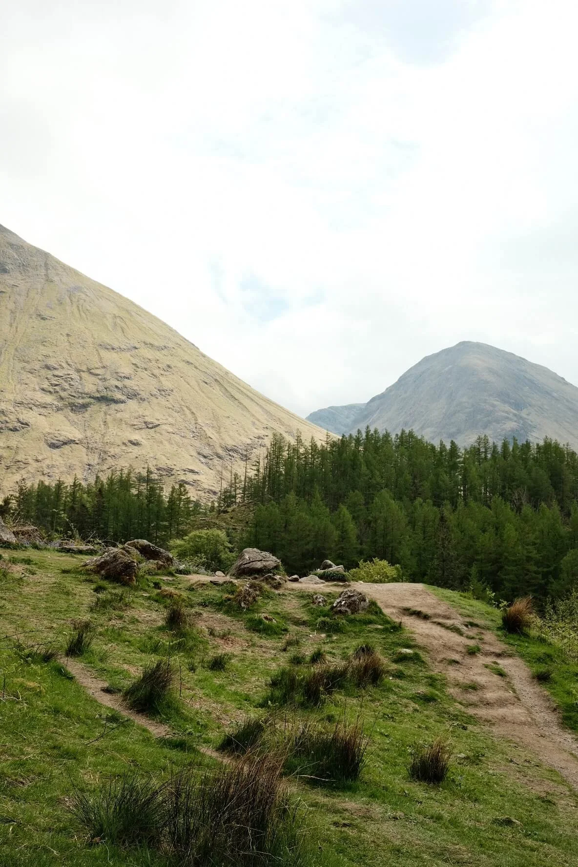 Hagrid's Hut