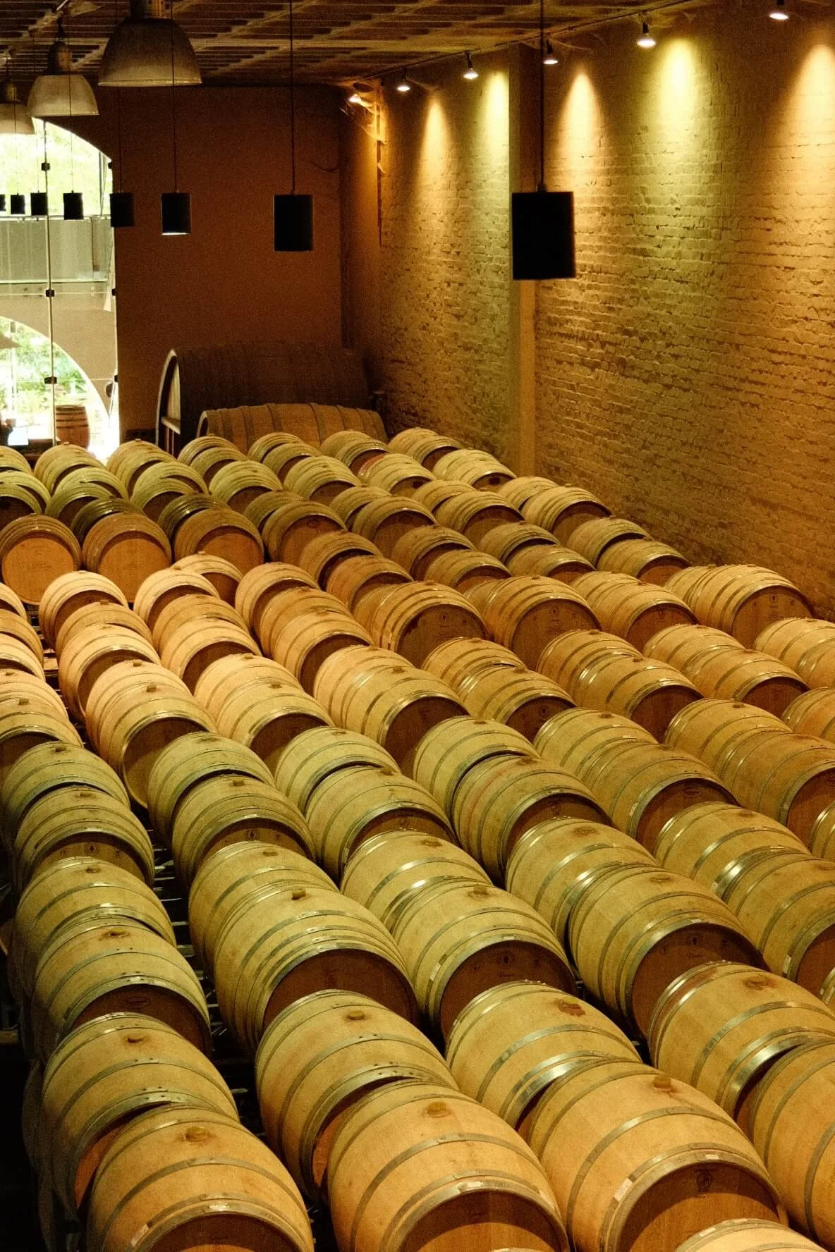 Groot Constantia Cellar Tour