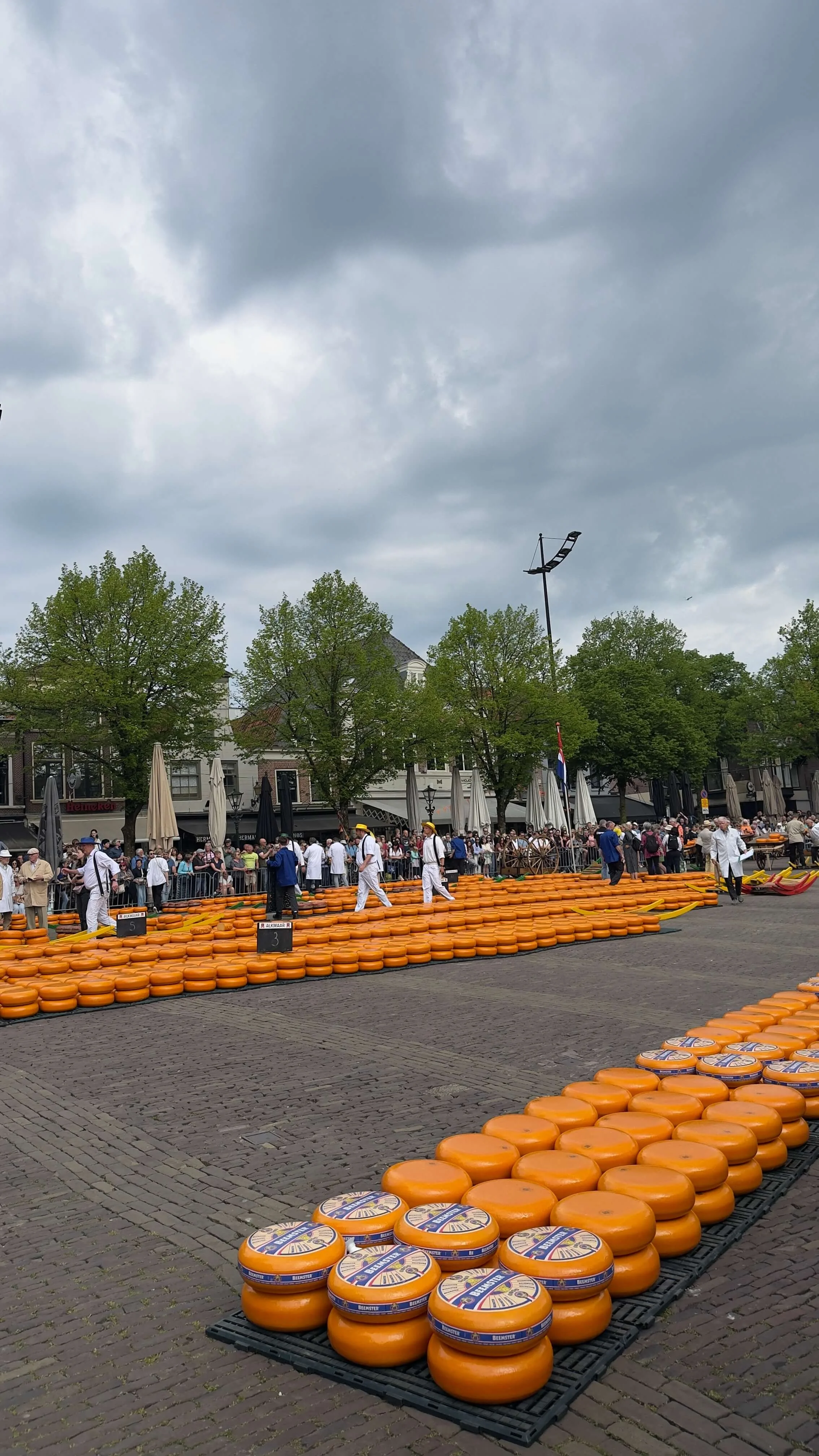 Alkmaar Cheese Market