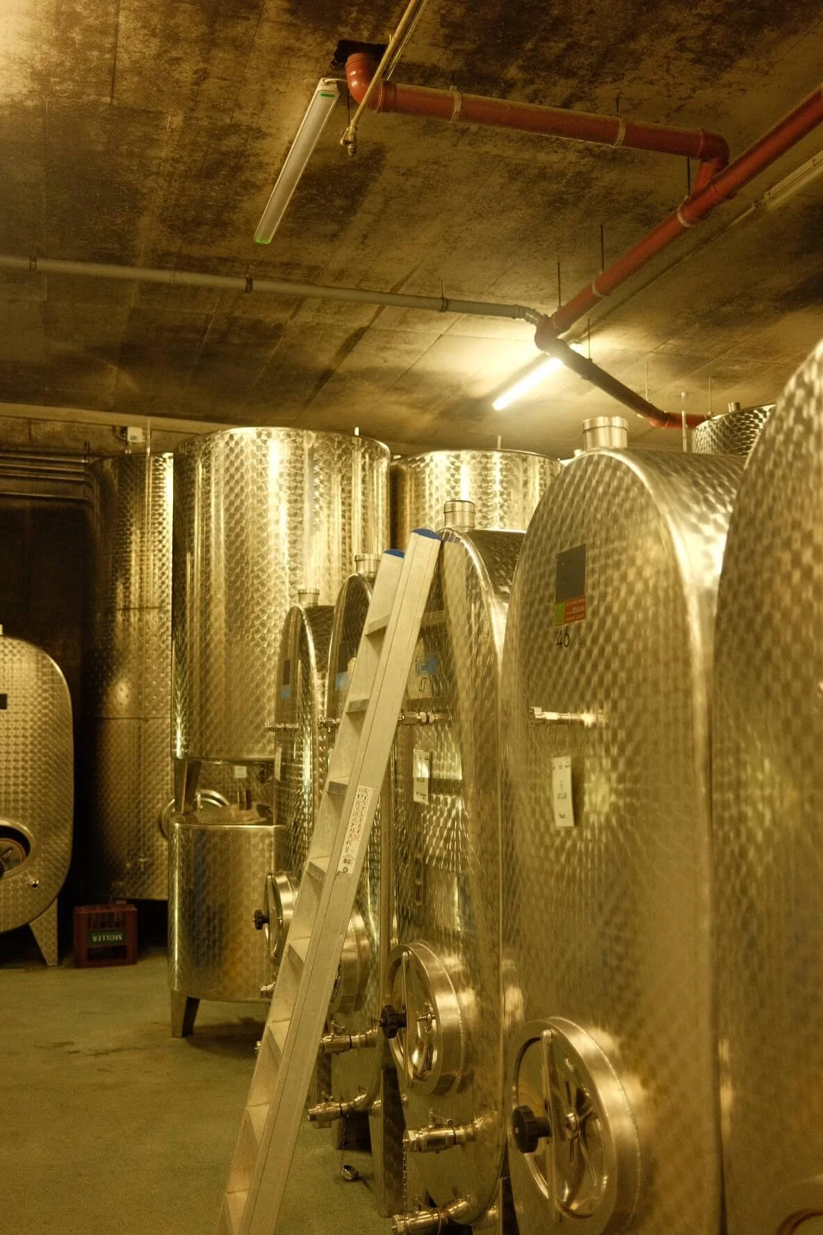 Weingut Muller Production