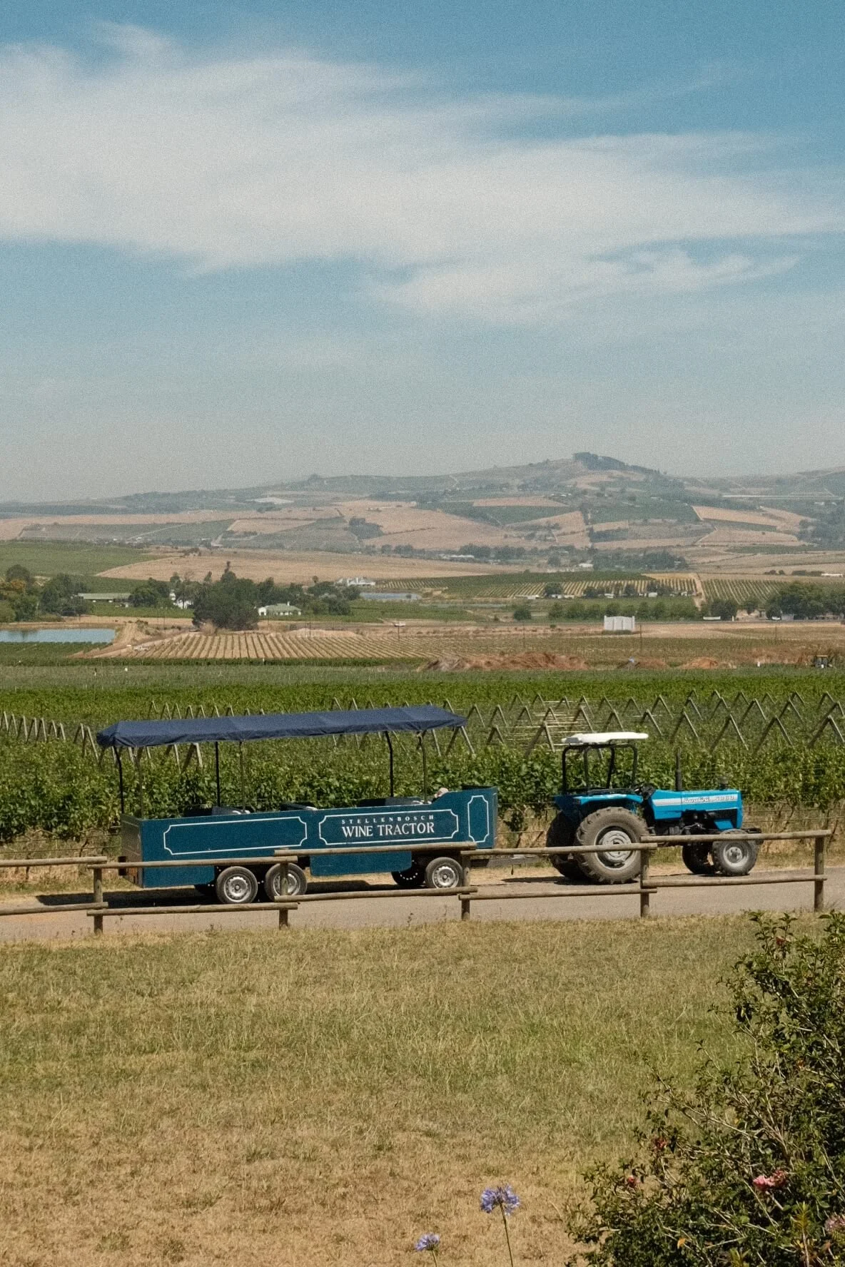Stellenbosch Wine Tractor