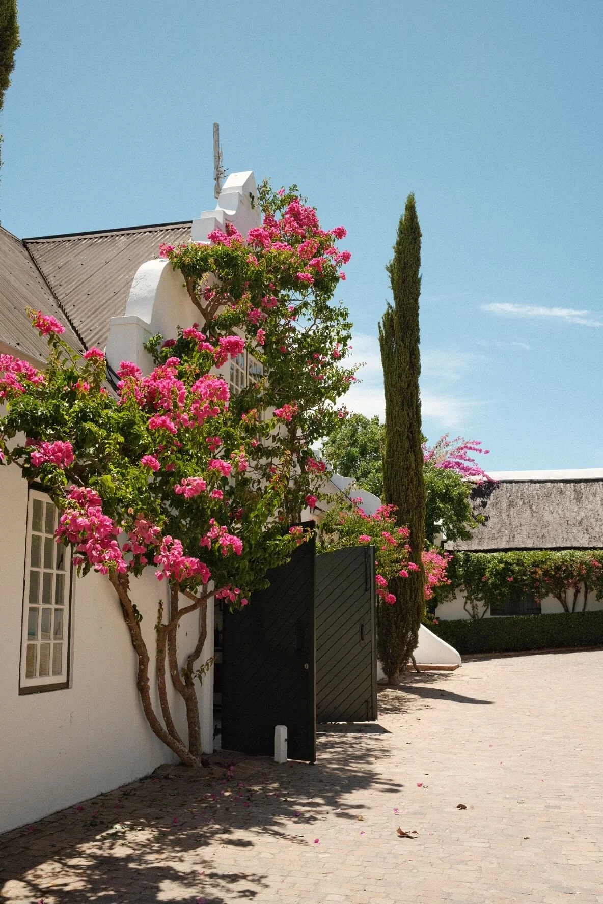 Peter Falke Wine Estate