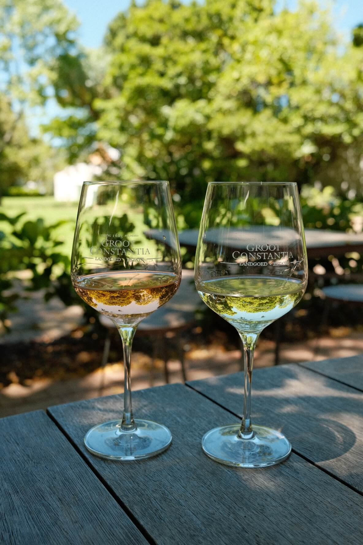 Groot Constantia Wine Tasting