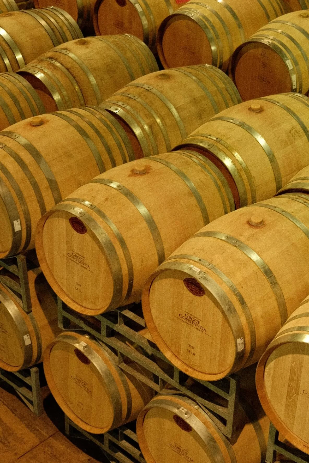 Groot Constantia Cellar Tour