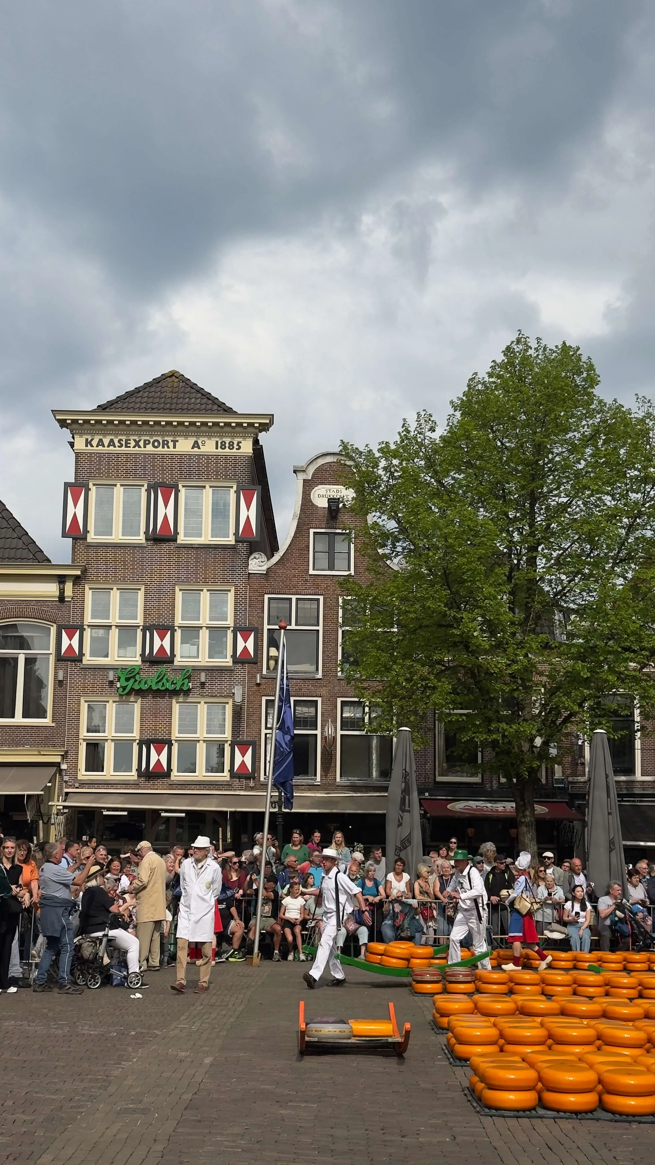 Cheese Market Alkmaar