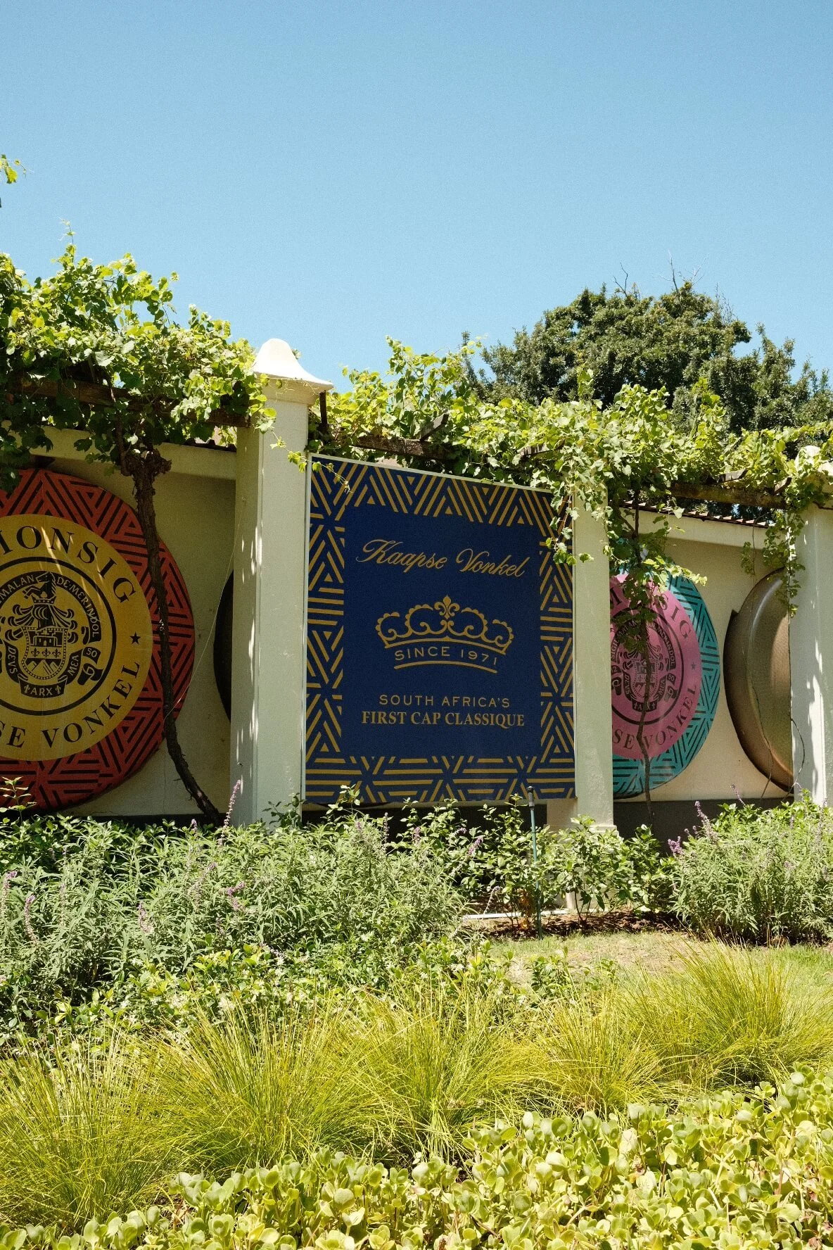 Simonsig Family Vineyards