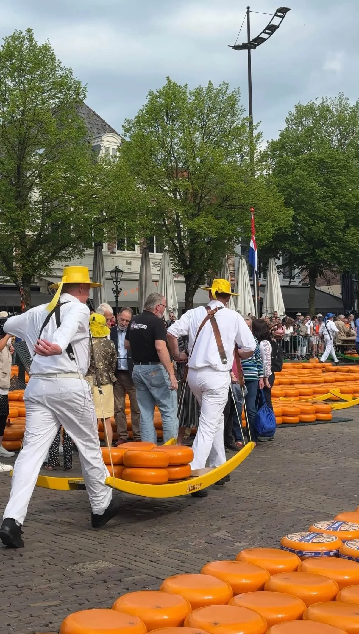 Alkmaar Cheese Carriers