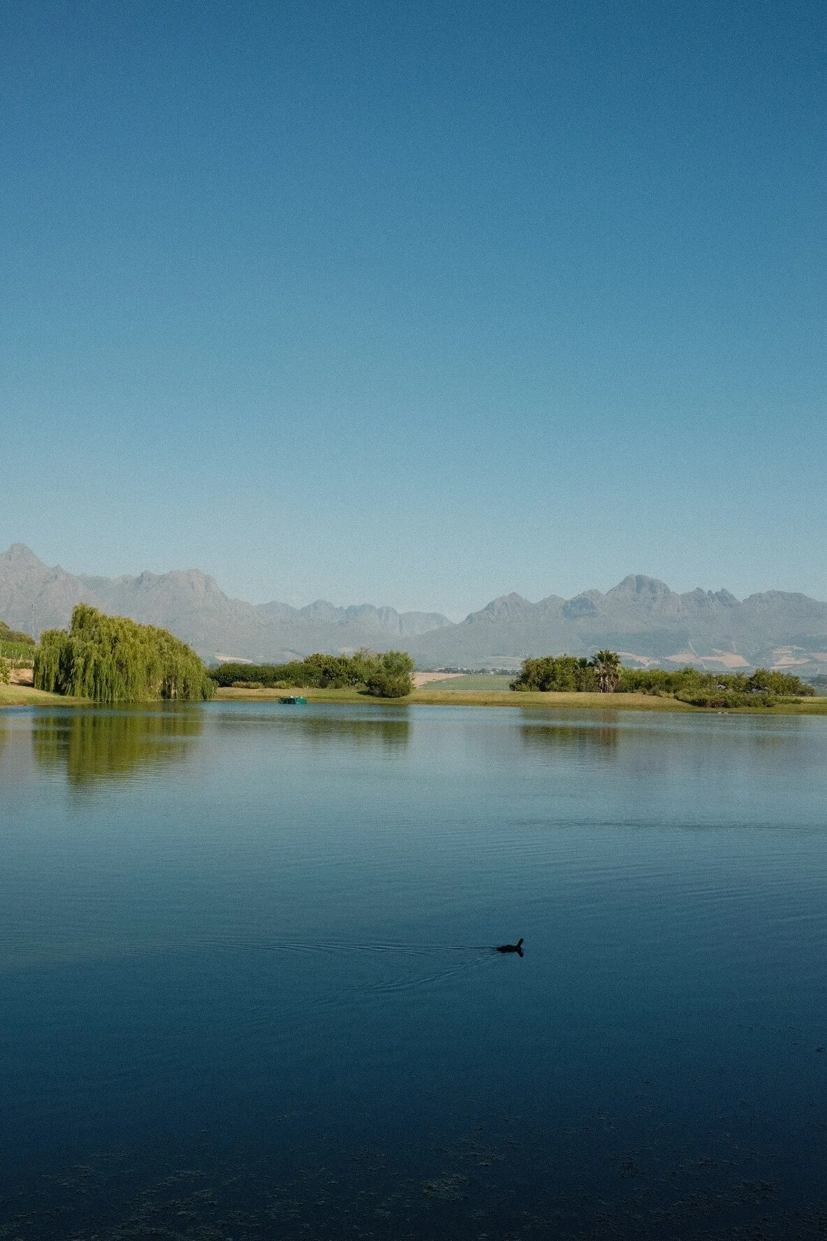 Asara Wine Estate