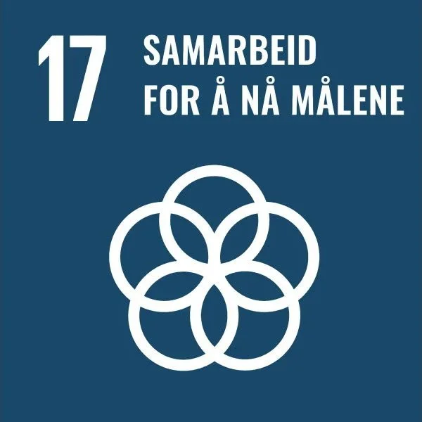 Grafikk med teksten "17 Samarbeid for å nå målene" og et geometrisk symbol av sykliske sirkler i hvitt på blå bakgrunn.