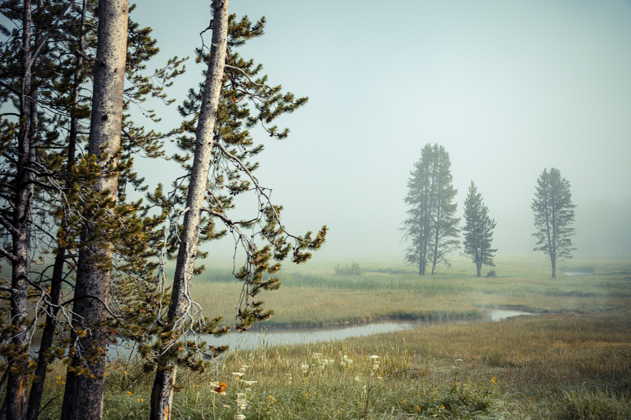 S25-2paysages-5.jpg