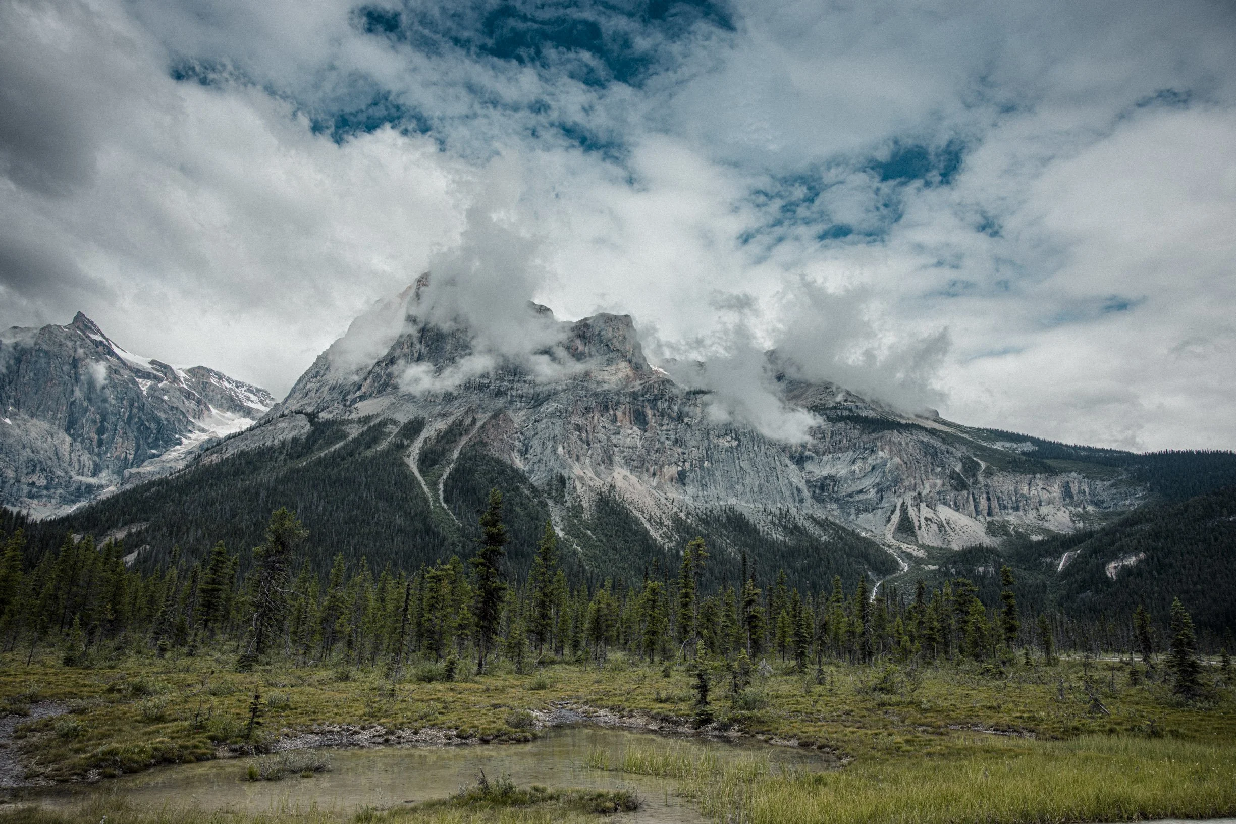 Paysage de montagnes enneigées partiellement couvertes de nuages avec une forêt dense en premier plan.