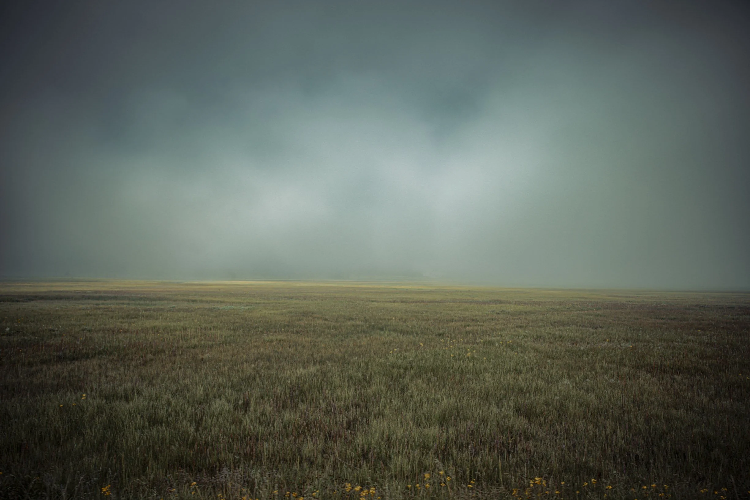 Misty-10.jpg