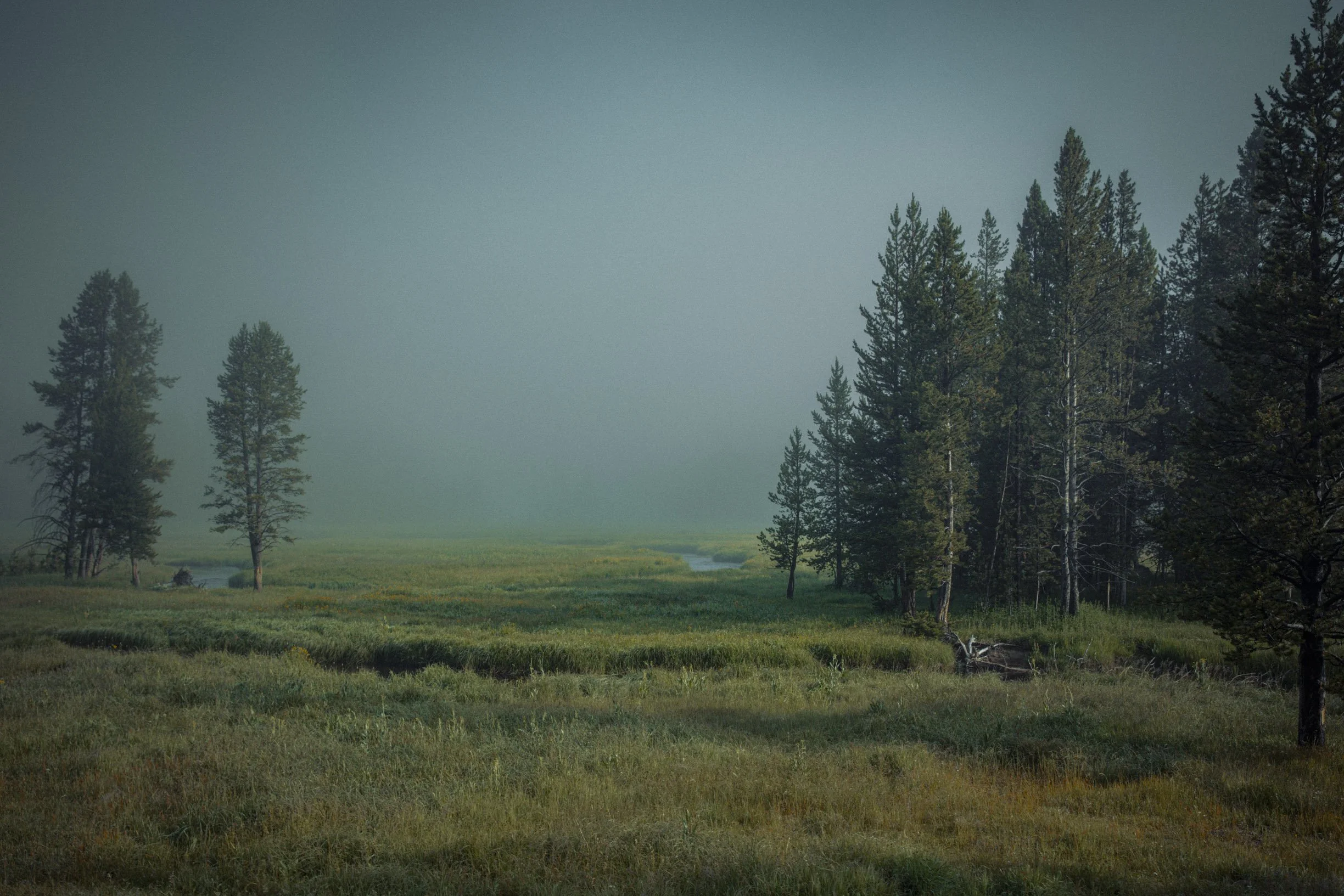 Misty-5.jpg