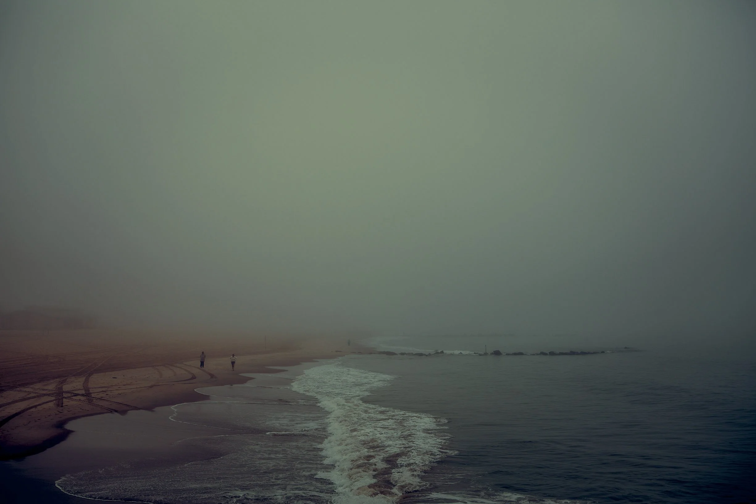 Misty-2.jpg