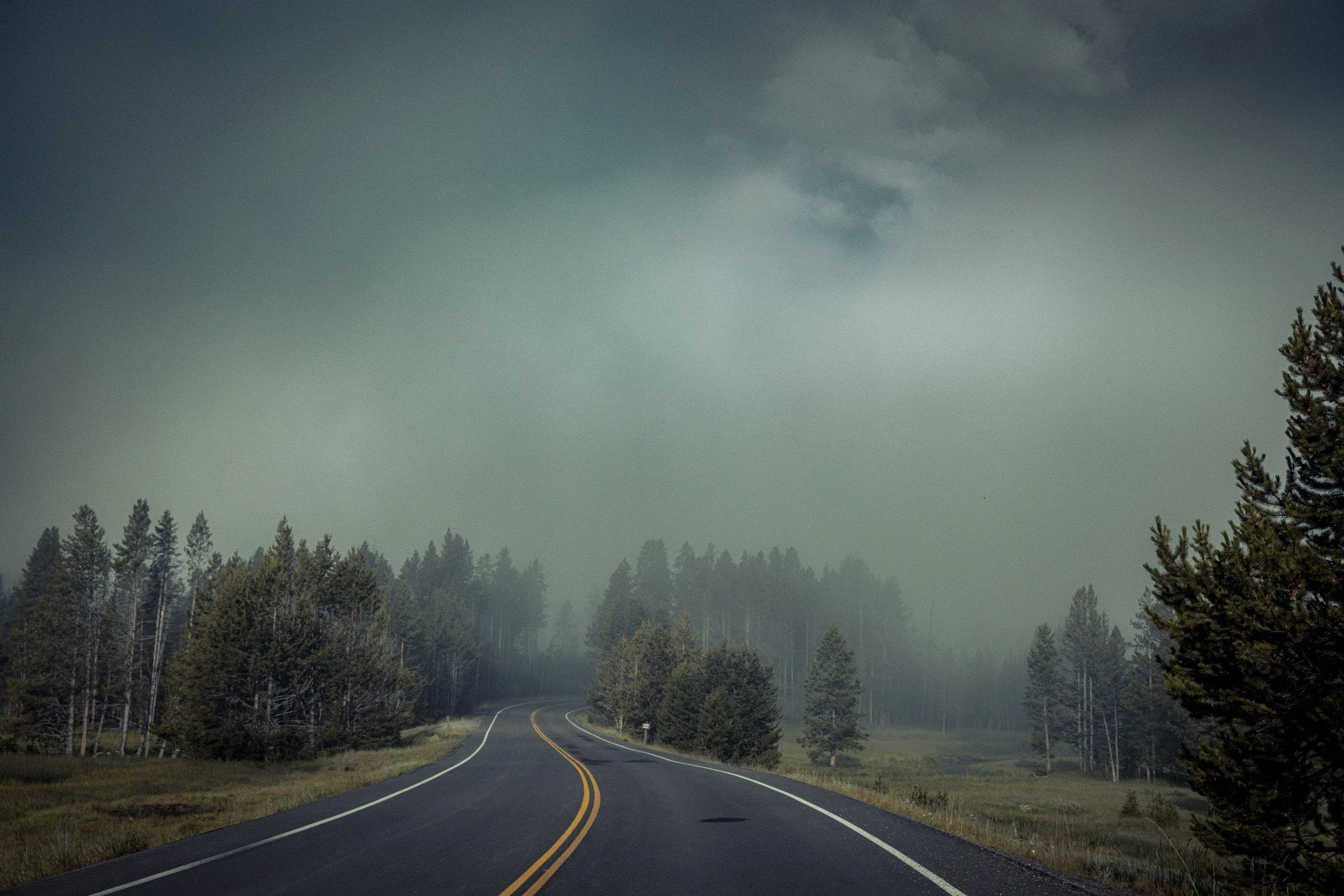Misty-4.jpg