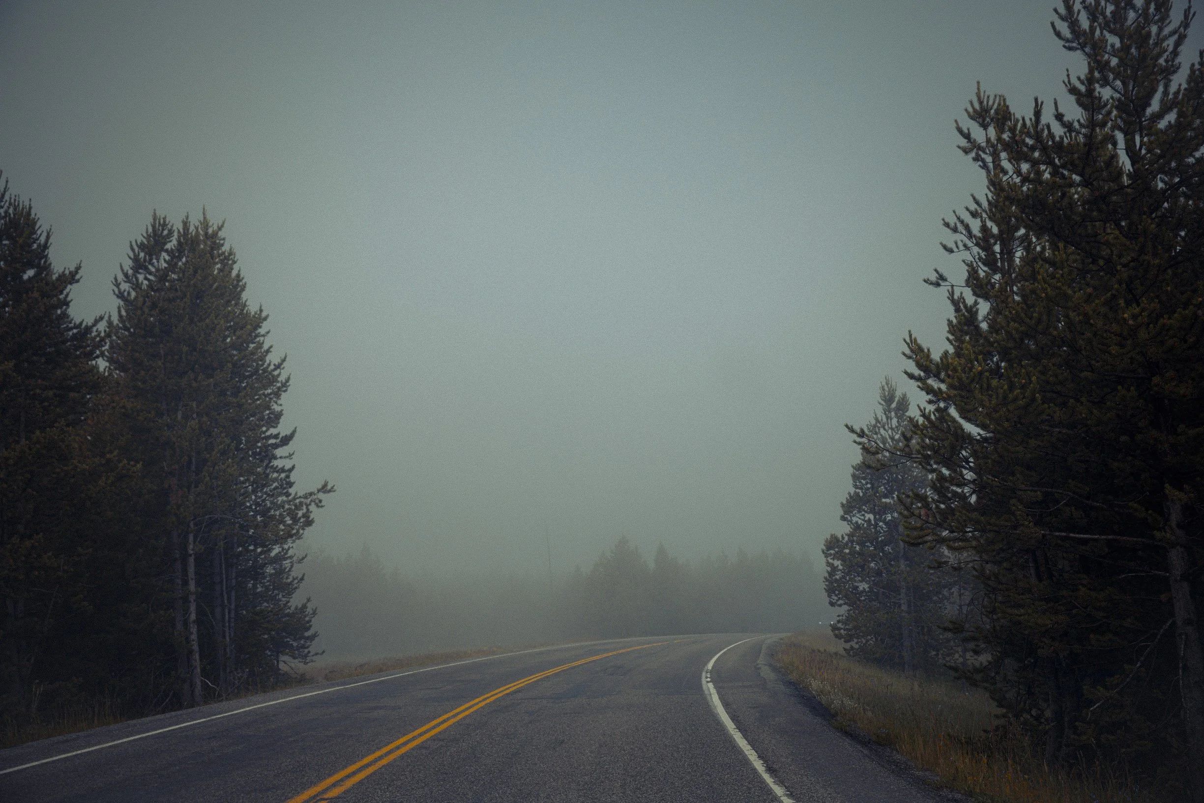 Misty-8.jpg