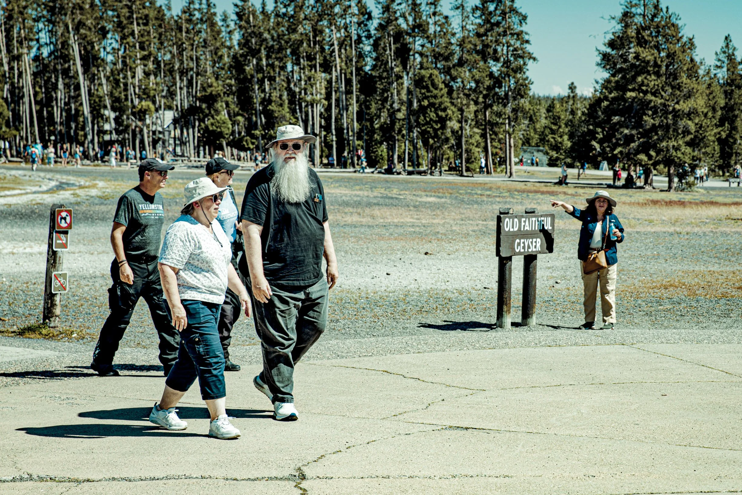 Giant Cali-1.jpg