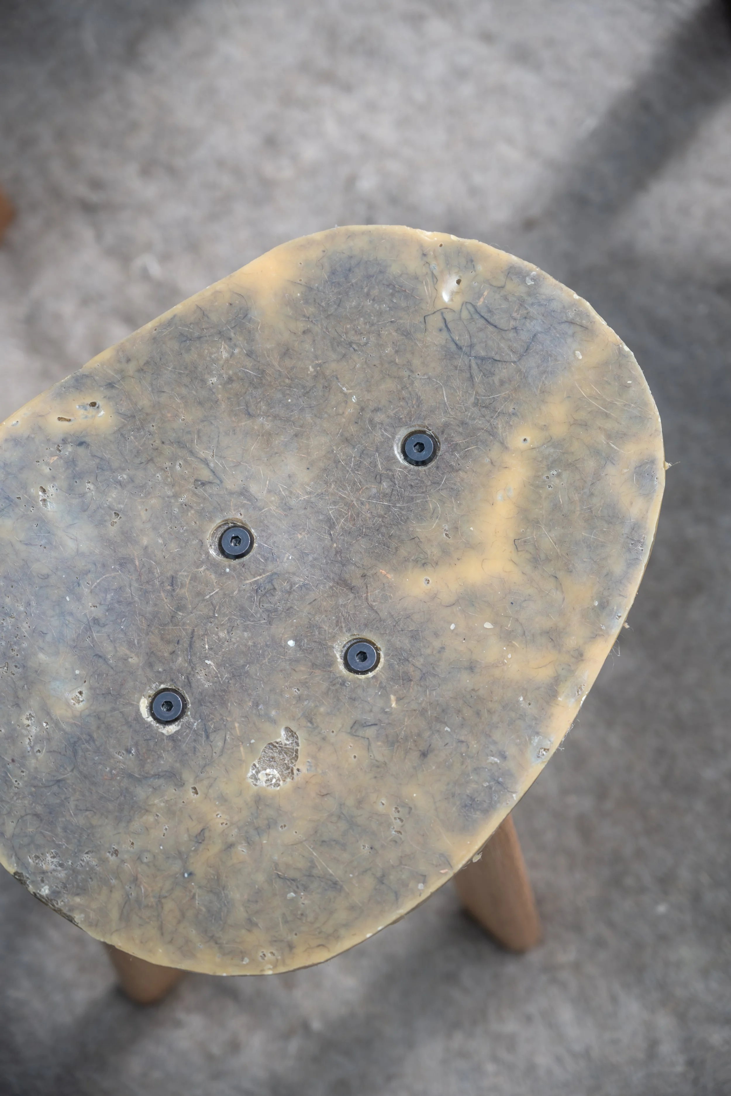 _DSC9943.jpg