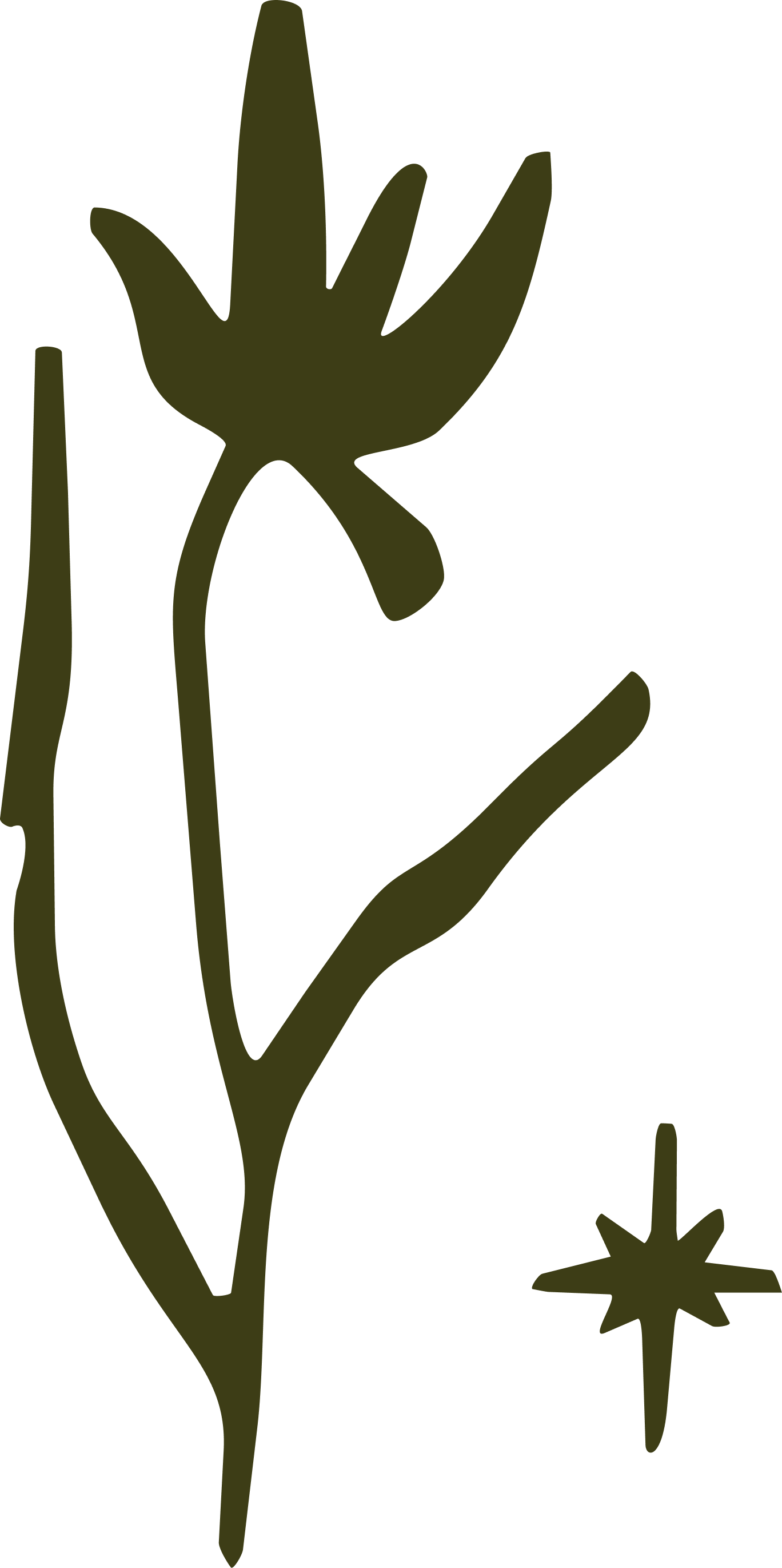 Loinnir House is a space in Belfast, Northern Ireland for movement focused on enjoyment and simplicity - we have a range of classes, such as Reformer Pilates, Strength Classes, HIIT Classes and Mat Pilates.