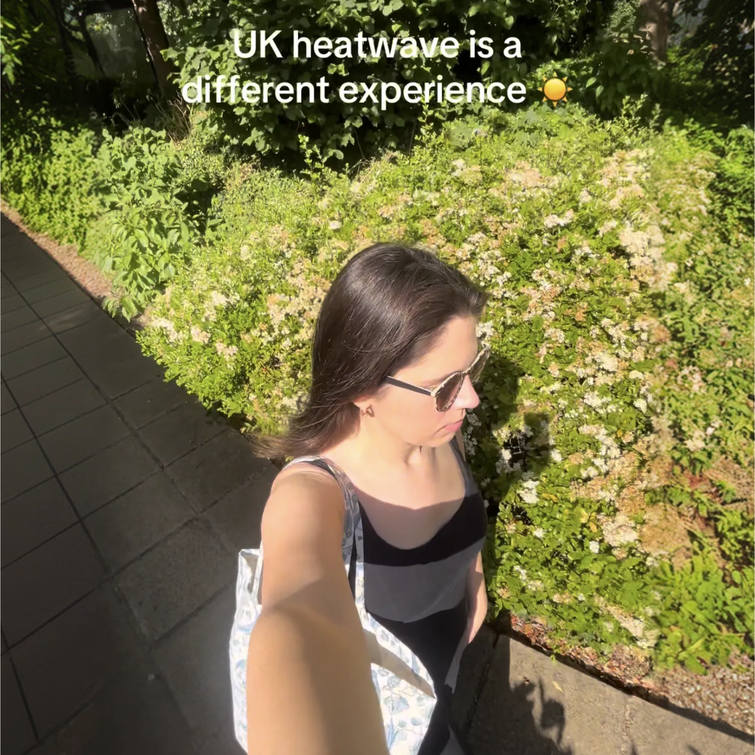 A Digital Memory Box: My TikTok Journey