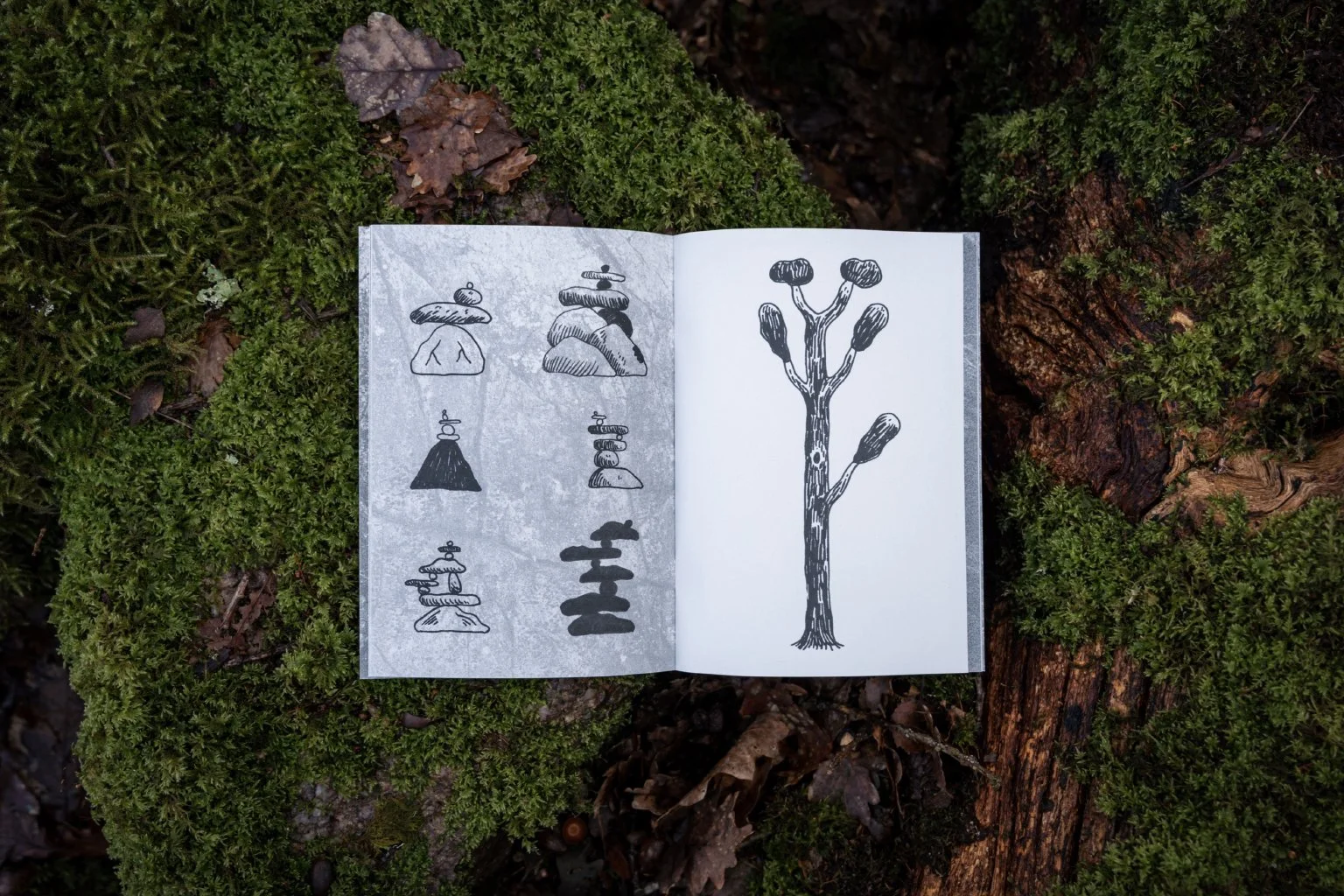 Stick_Stone_Landscape_2.jpg