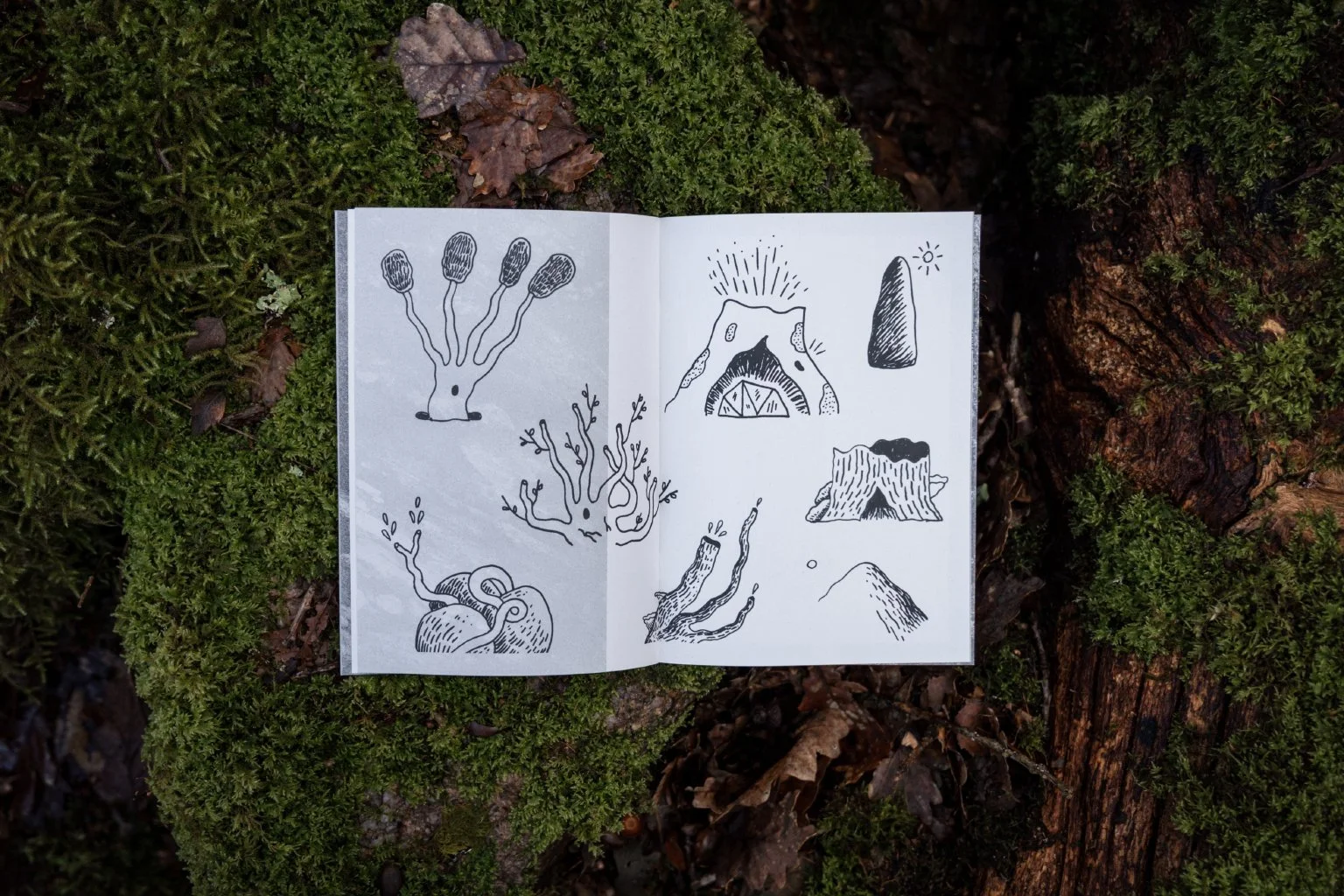 Stick_Stone_Landscape_3.jpg