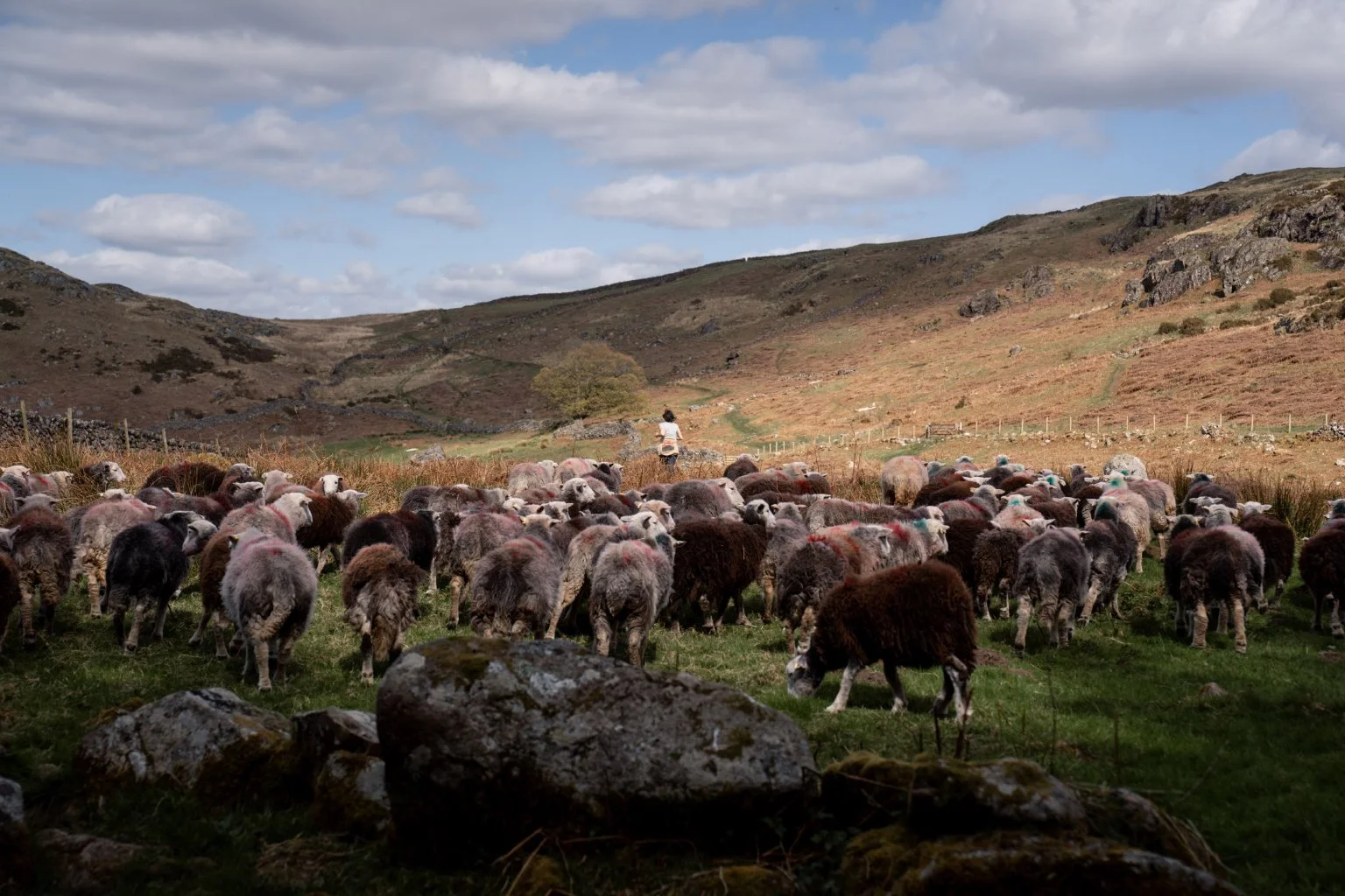 Cragg_Farm_Lo_Res_Landscape_14.jpg