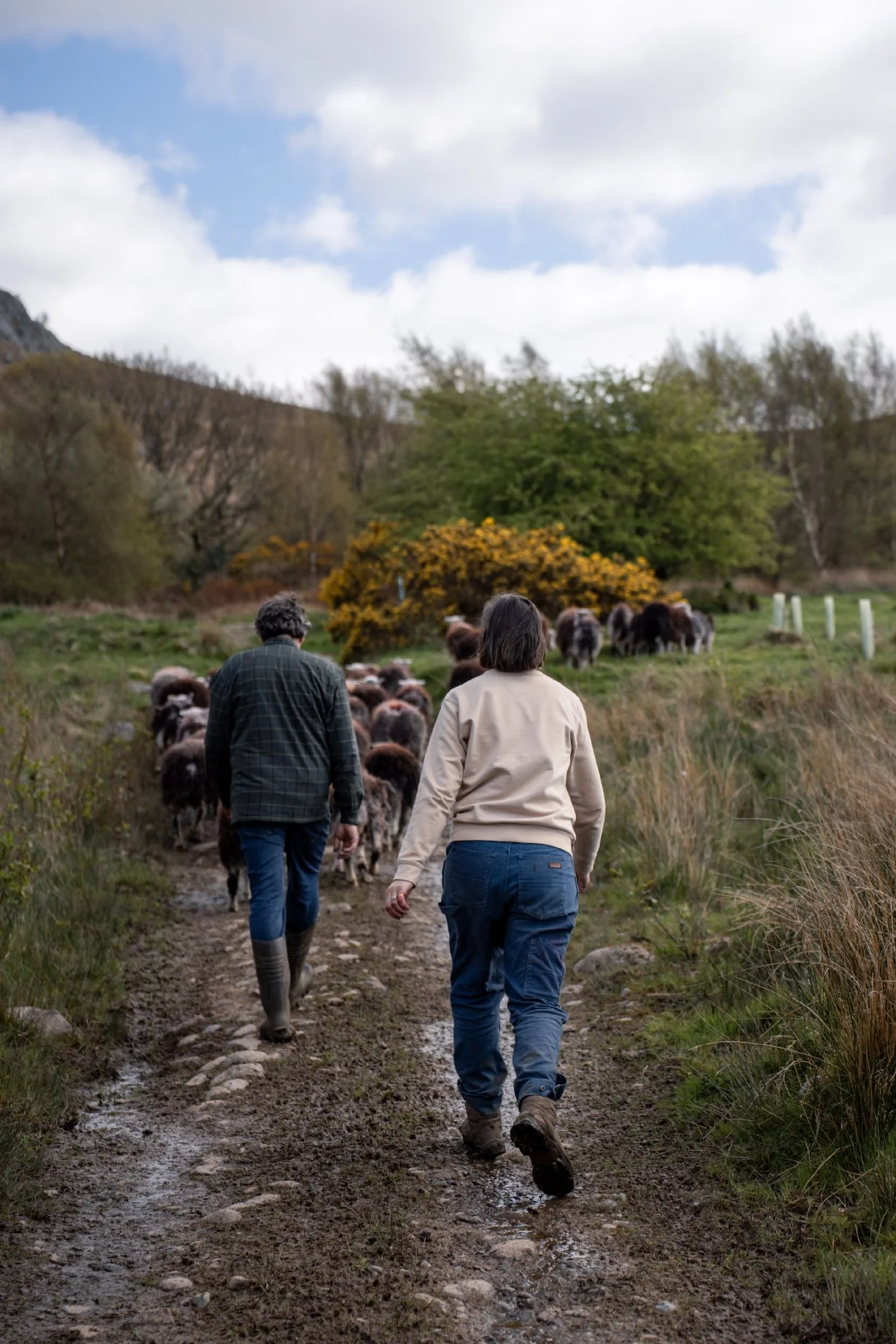 Cragg_Farm_Lo_Res_Portrait_26.jpg