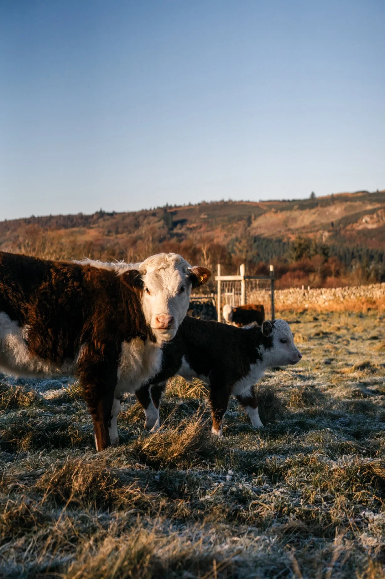 Cragg_Farm_Lo_Res_Portrait_28.jpg