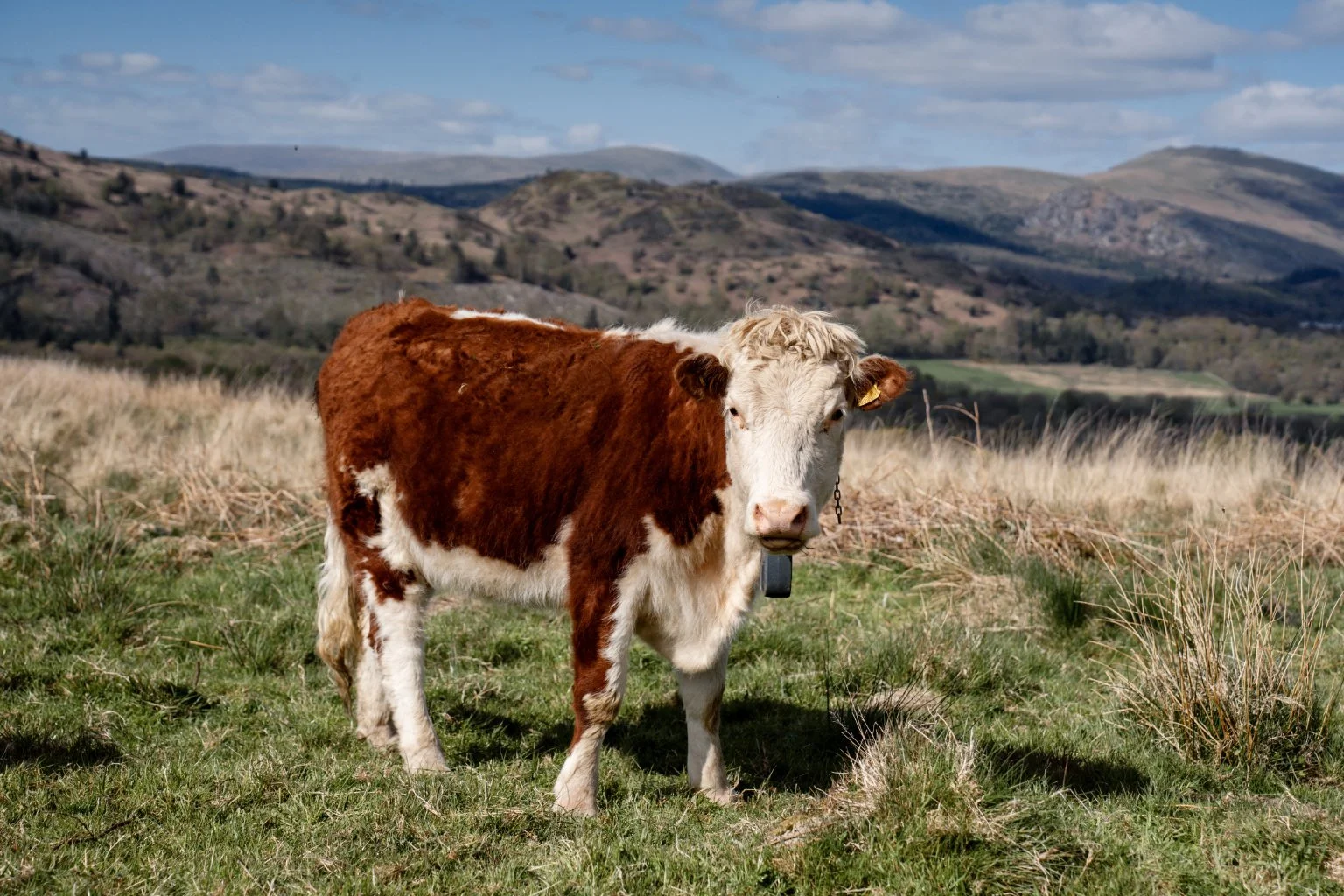 Cragg_Farm_Lo_Res_Landscape_15.jpg