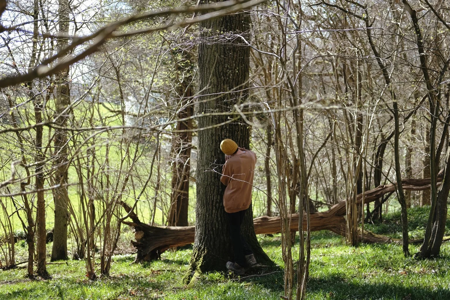 drawn_to_nature_12.jpg