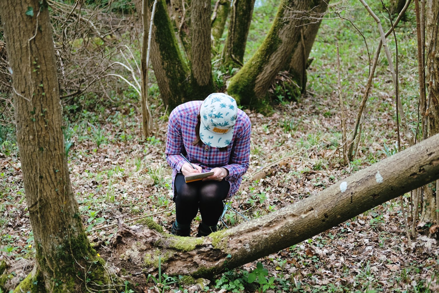 drawn_to_nature_16.jpg