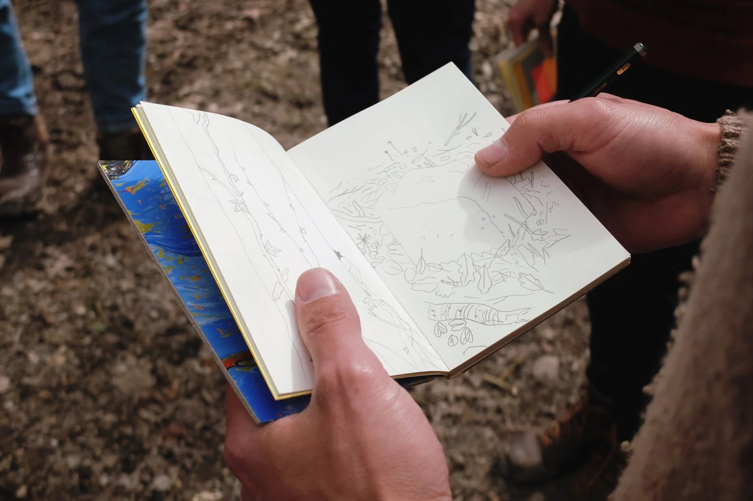 drawn_to_nature_5.jpg