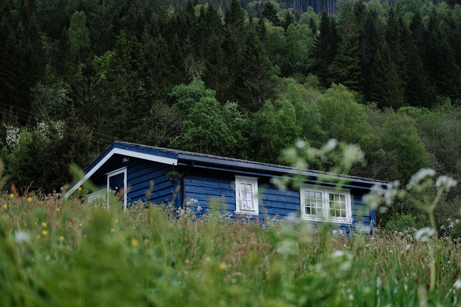 western_fjords_17.jpg