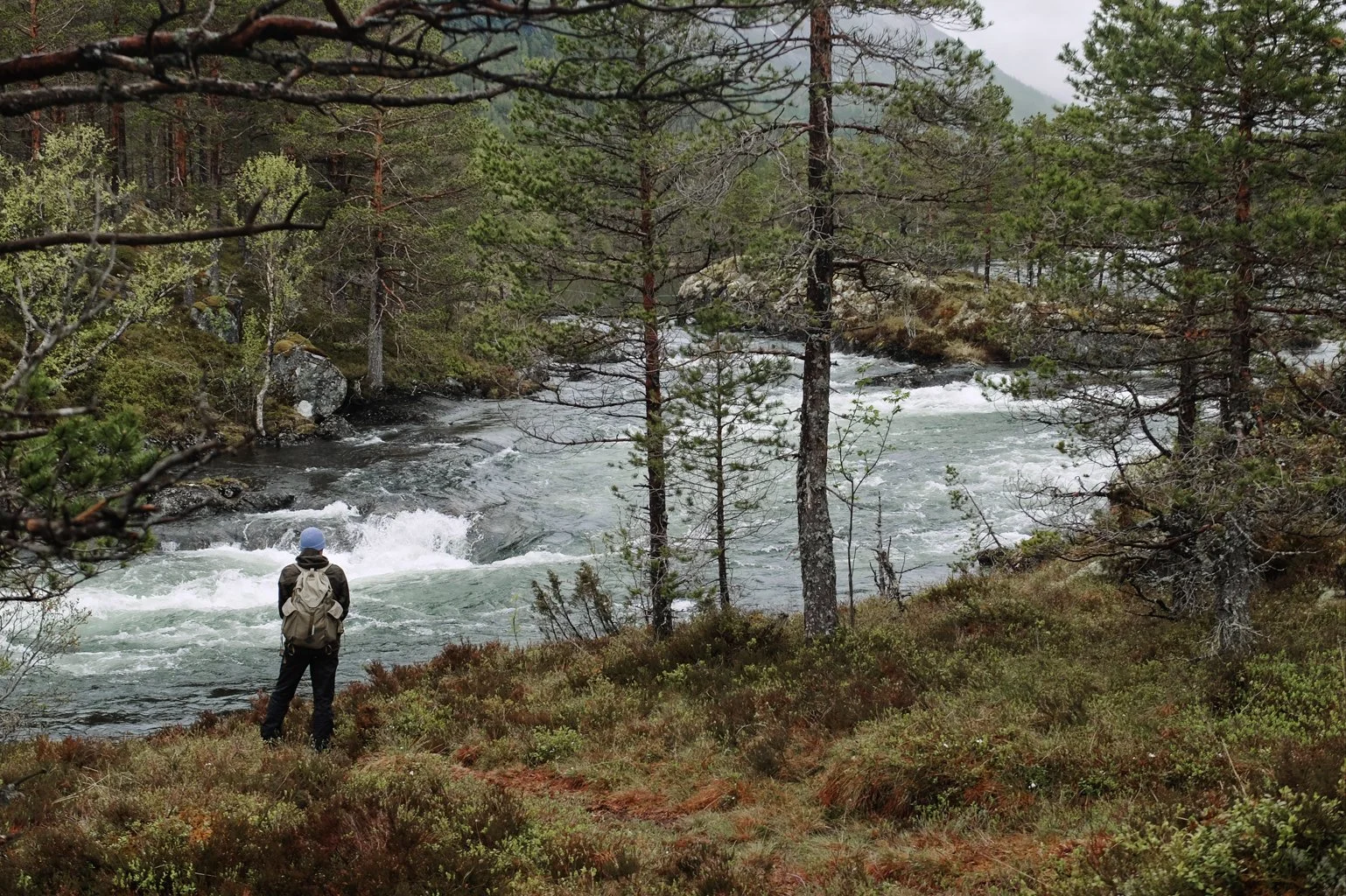 western_fjords_23.jpg
